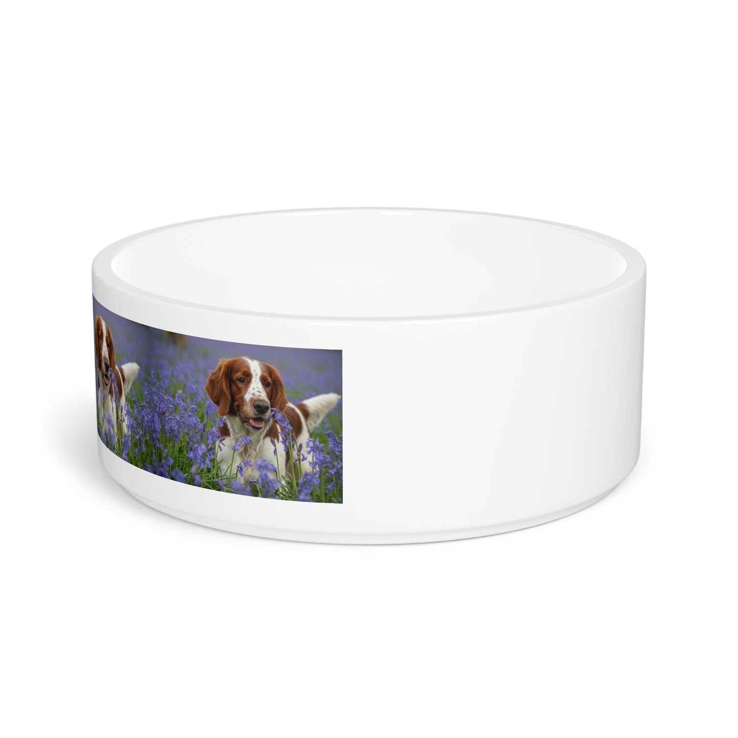 Welsh Springer Spaniel Pet Bowl