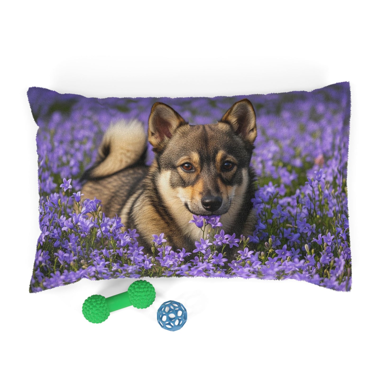 Swedish Vallhund Pet Bed