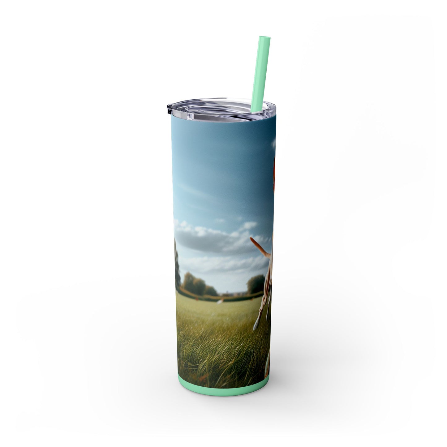 Ibizan Hound Tumbler with Straw, 20oz