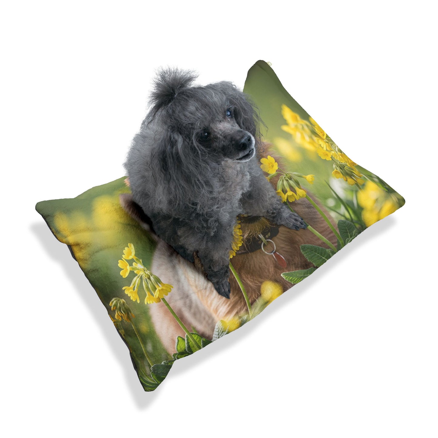 Norfolk Terrier Pet Bed