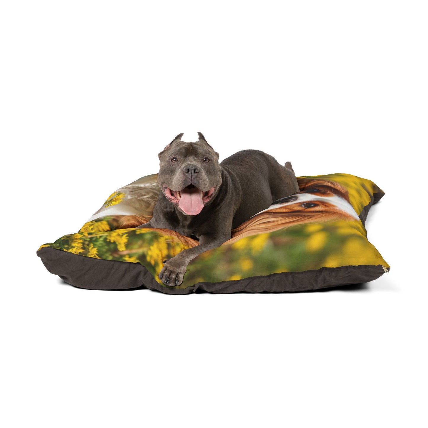 Cavalier King Charles Spaniel Pet Bed