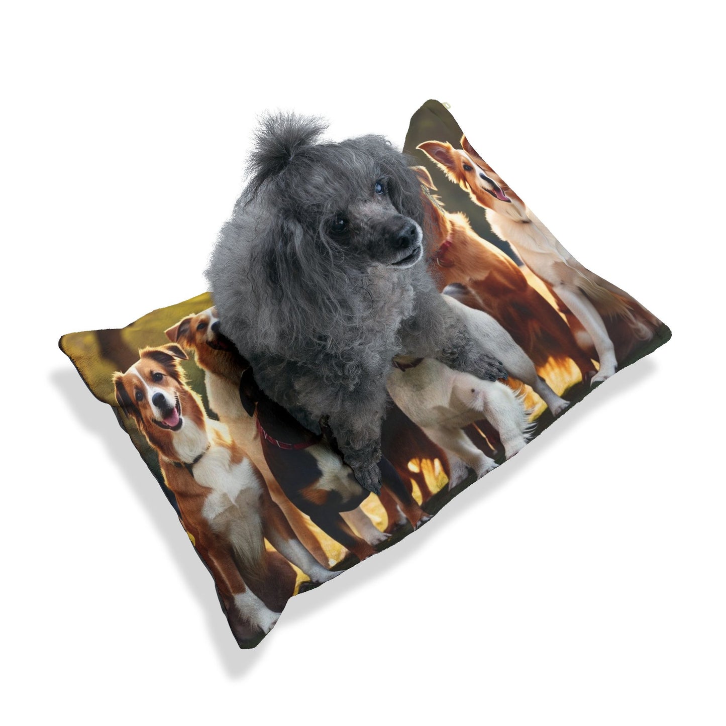 Class of Dogs Pet Bed