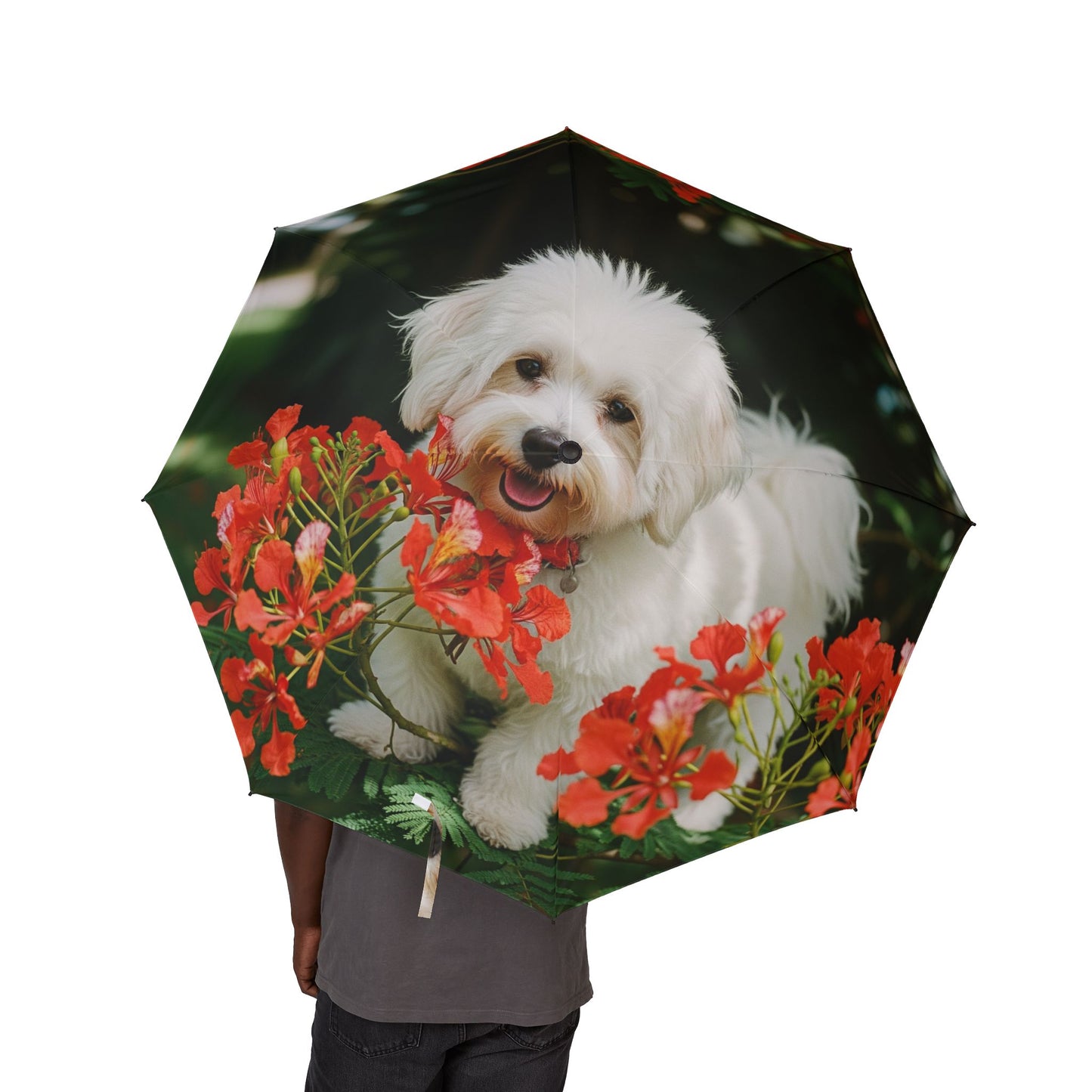 Coton de Tulear Semi-Automatic Foldable Umbrella
