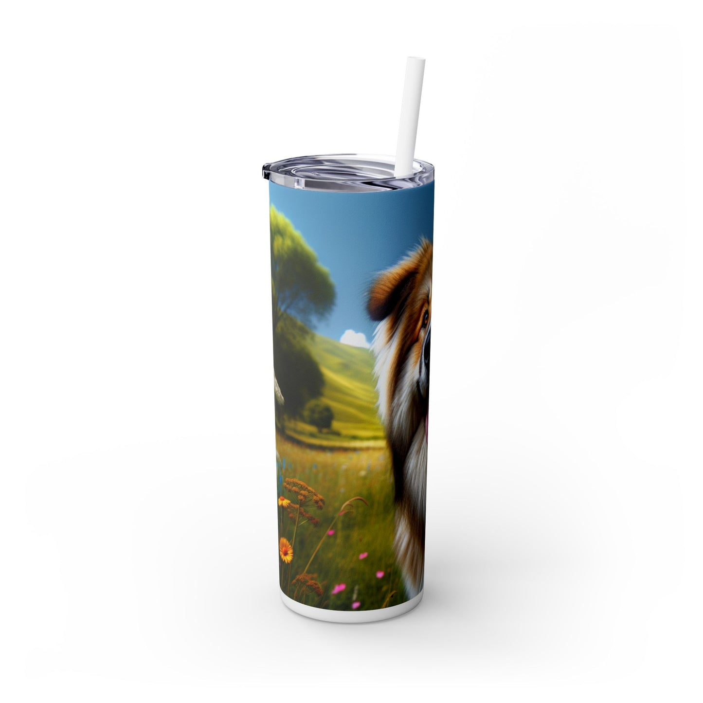 Bakharwal Tumbler with Straw, 20oz