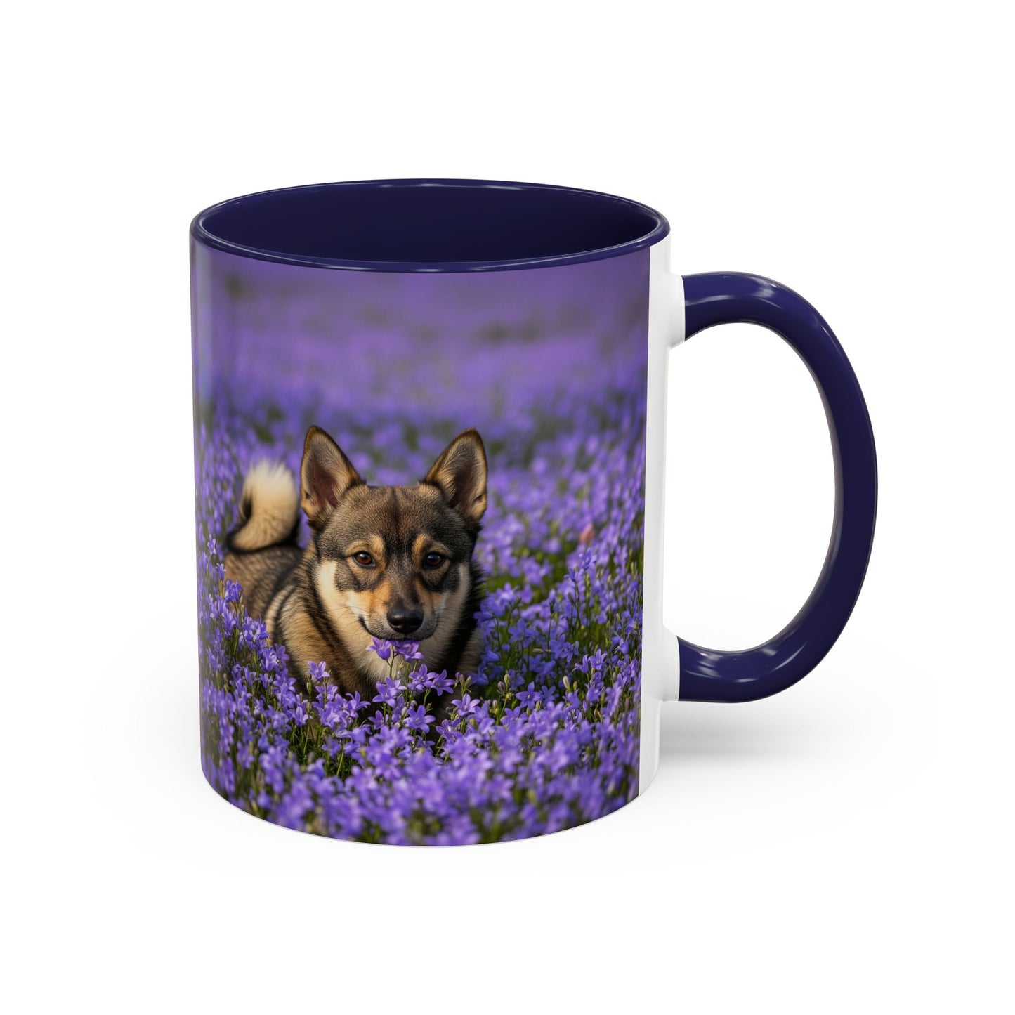 Swedish Vallhund Accent Coffee Mug - Perfect Gift for Dog Lovers