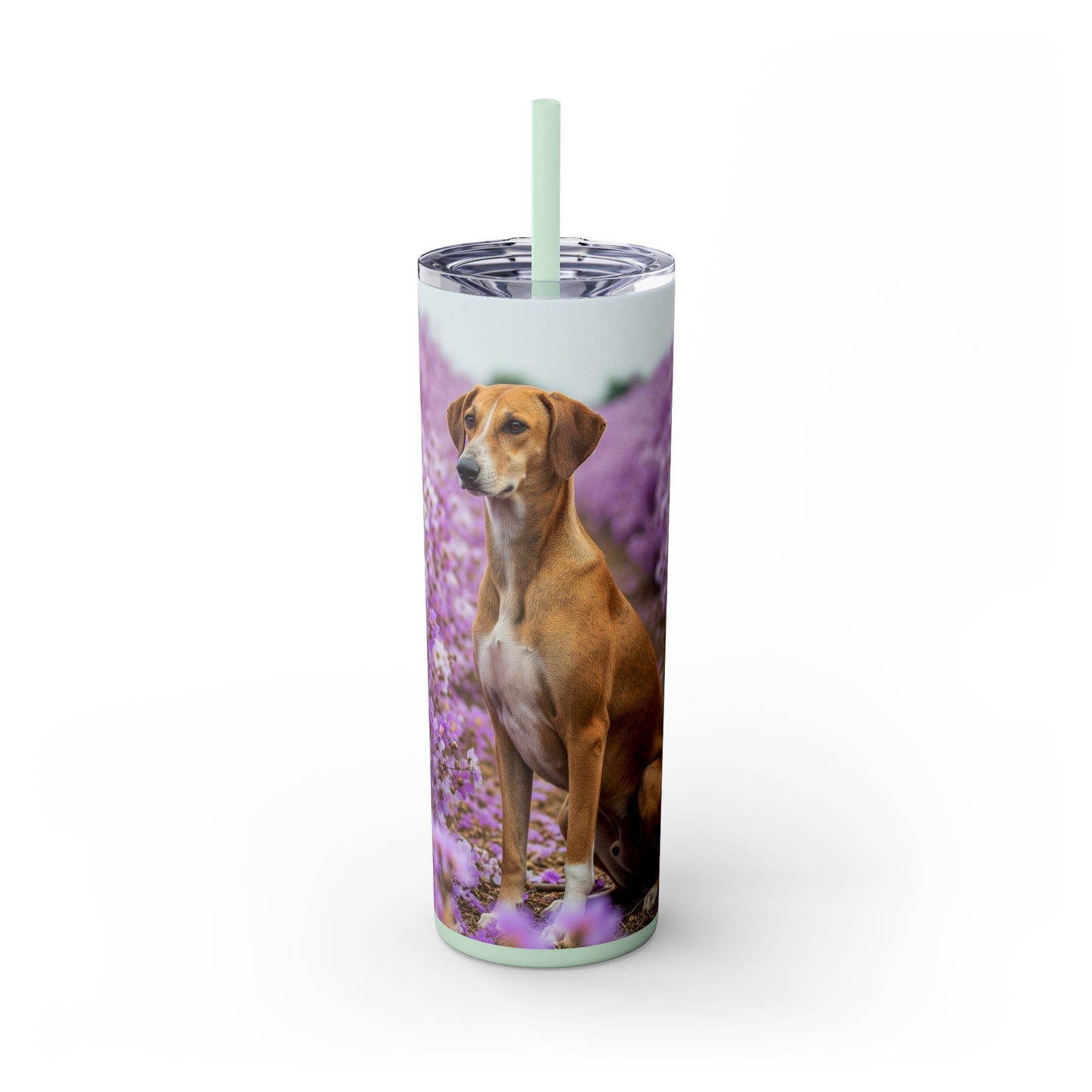 Banjara Hound Tumbler with Straw, 20oz