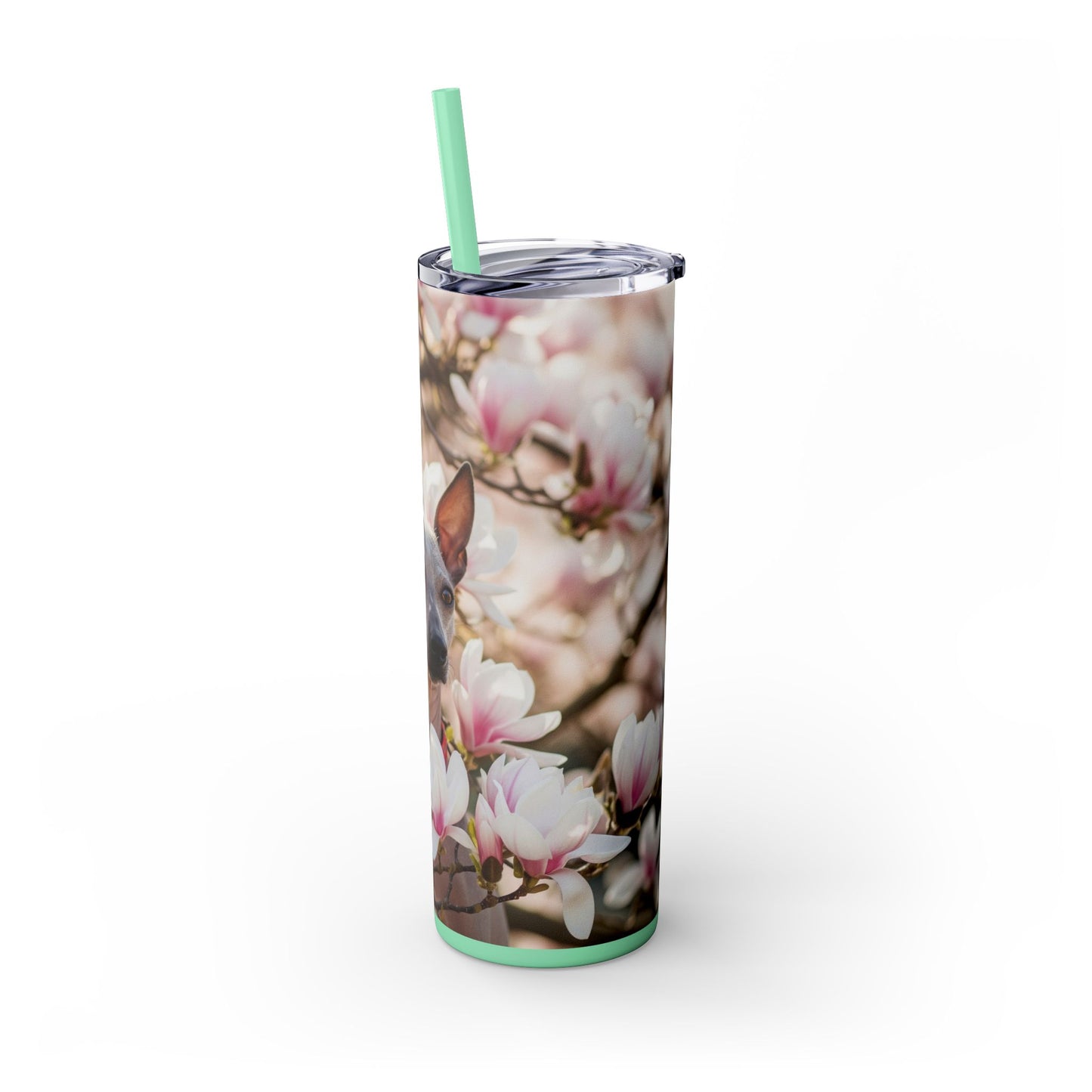 American Hairless Terrier Skinny Tumbler with Straw, 20oz