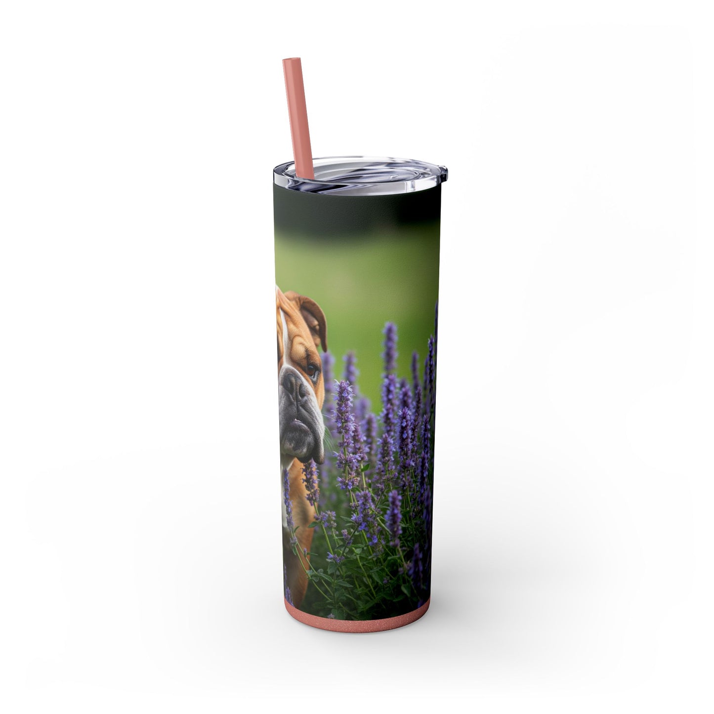 British Bulldog Tumbler with Straw, 20oz
