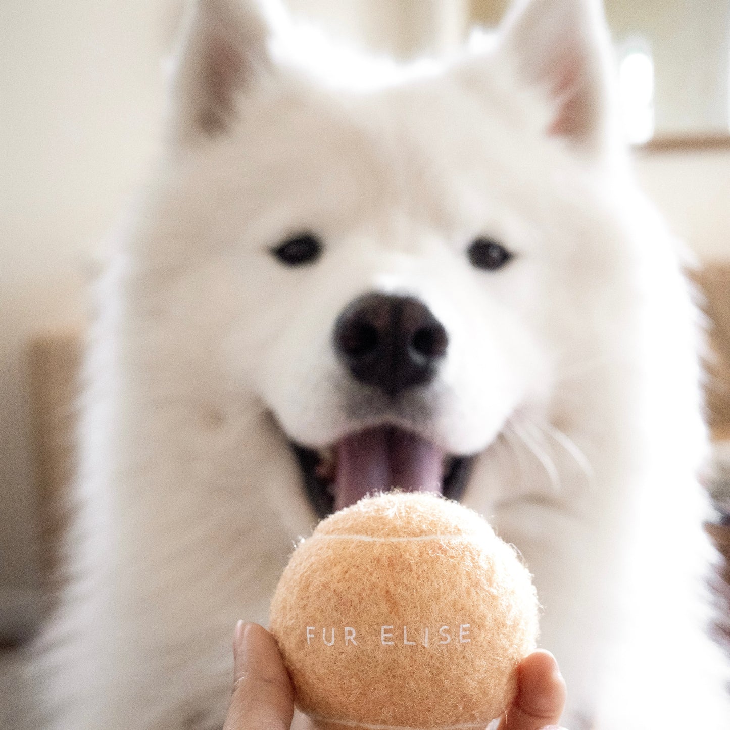 Pelota de tenis clásica - Arena