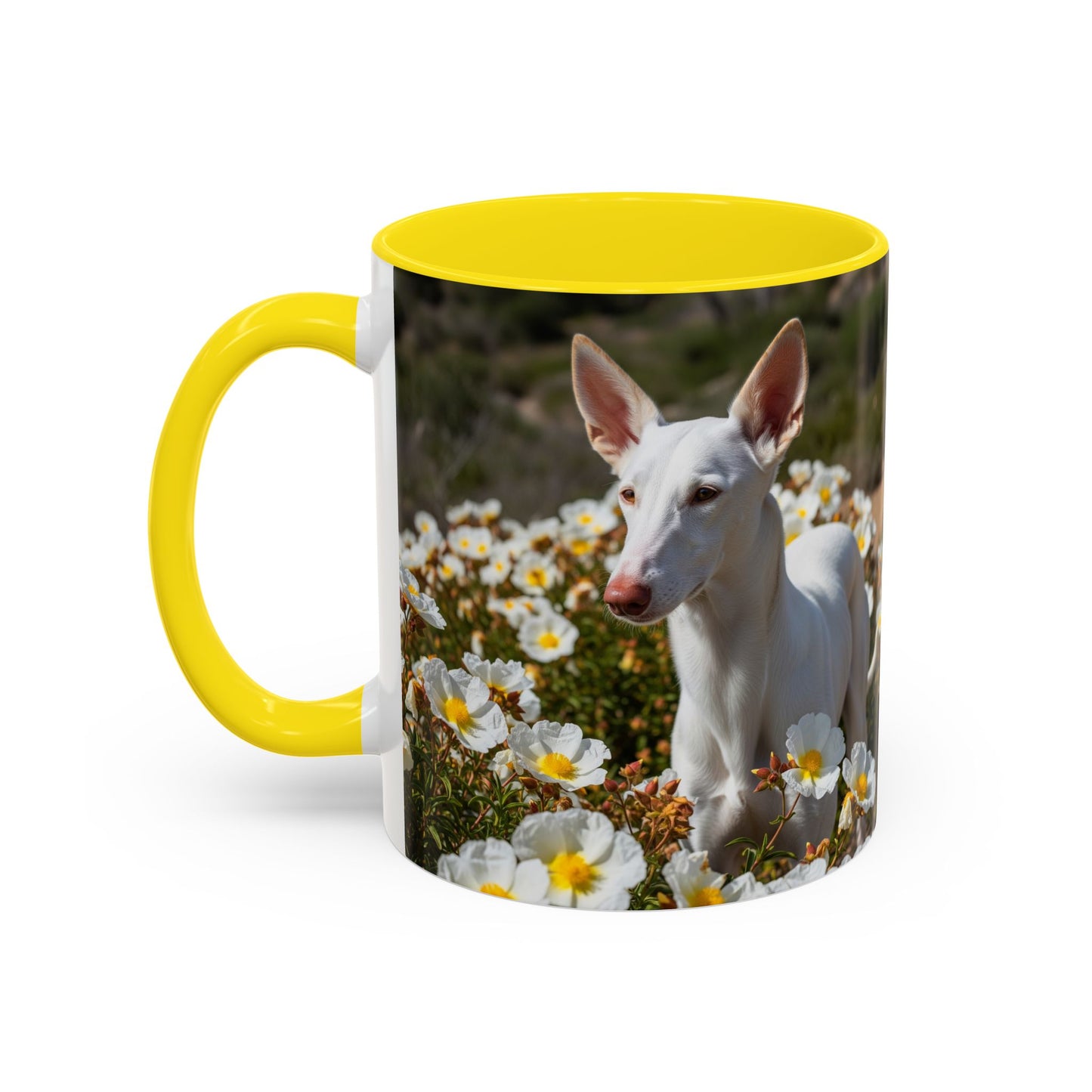 Ibizan Hound Accent Coffee Mug - Perfect Gift for Dog Lovers