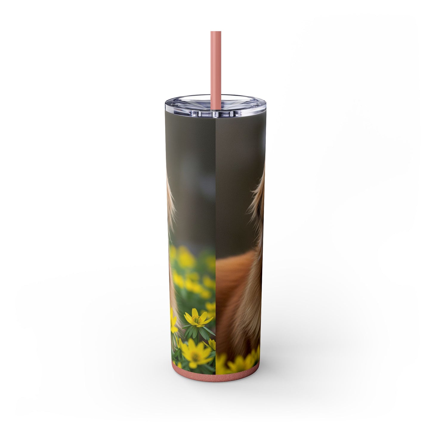 Leonberger Tumbler with Straw, 20oz