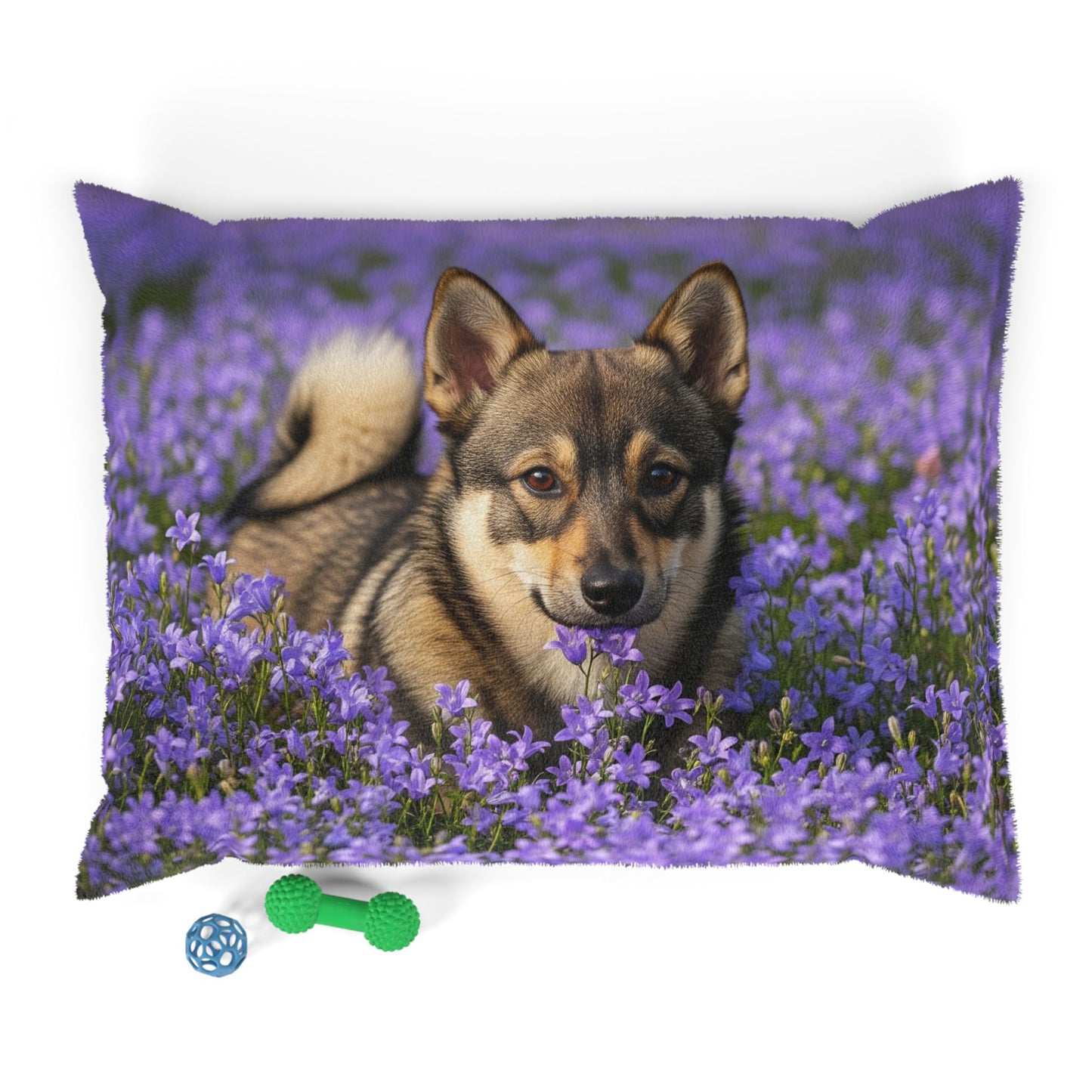 Swedish Vallhund Pet Bed