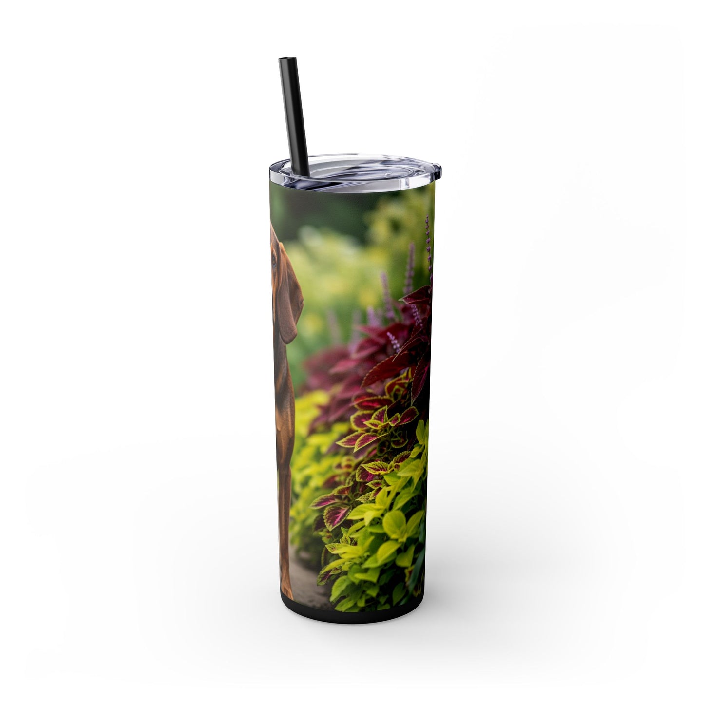 Hamiltonstovare Tumbler with Straw, 20oz