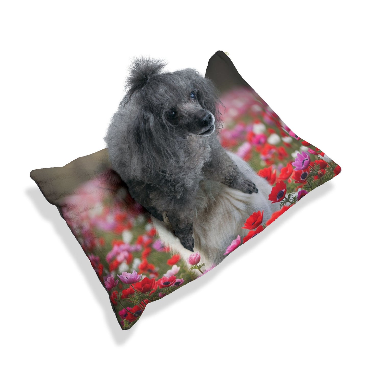 Maremma Sheepdog Pet Bed