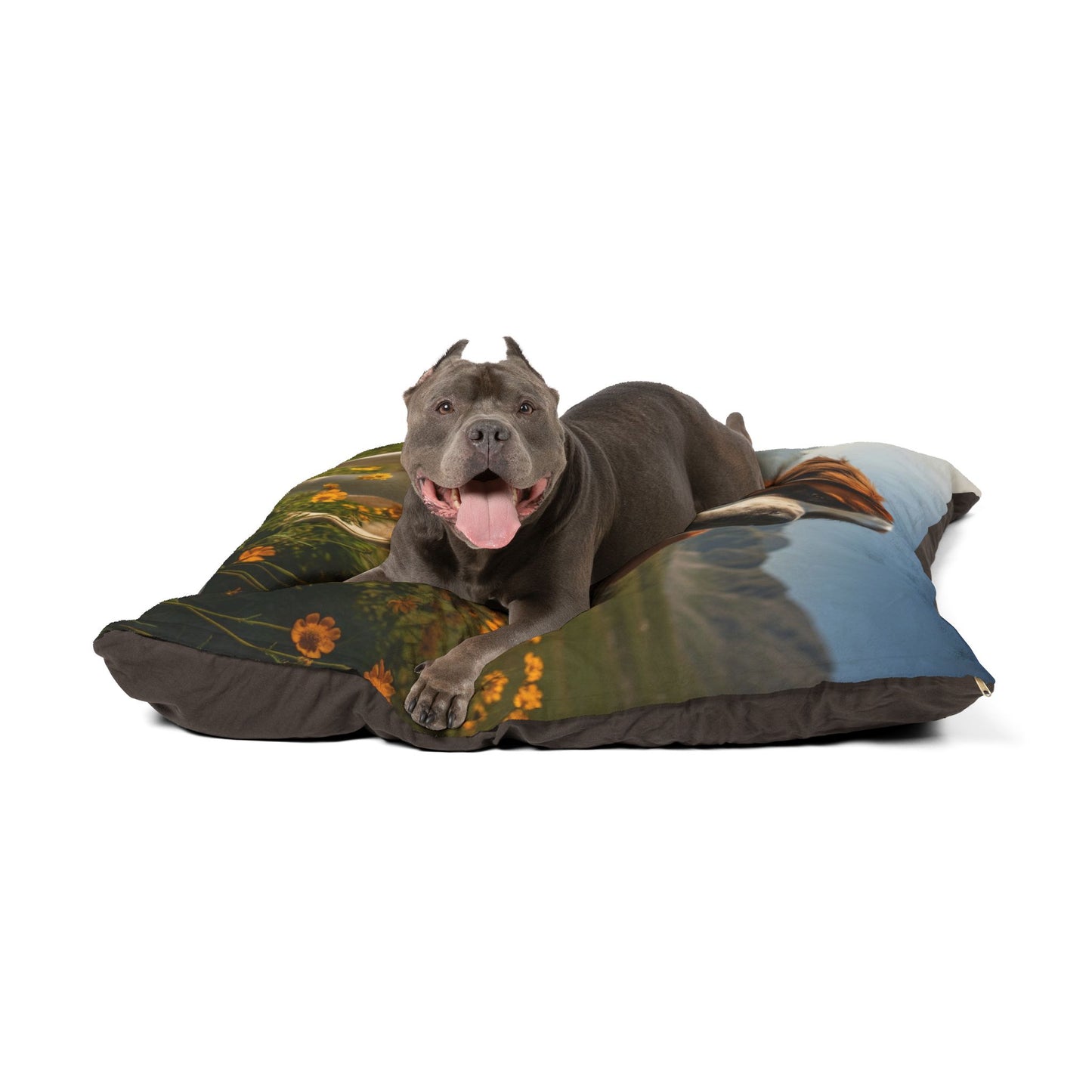 Saint Bernard Pet Bed