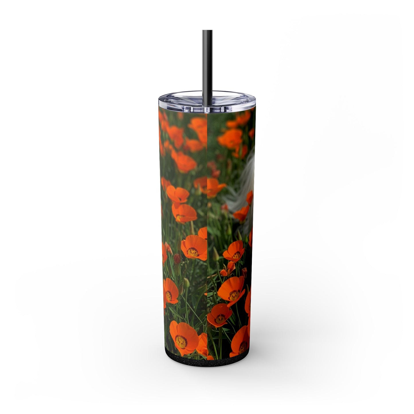 Havanese Tumbler with Straw, 20oz