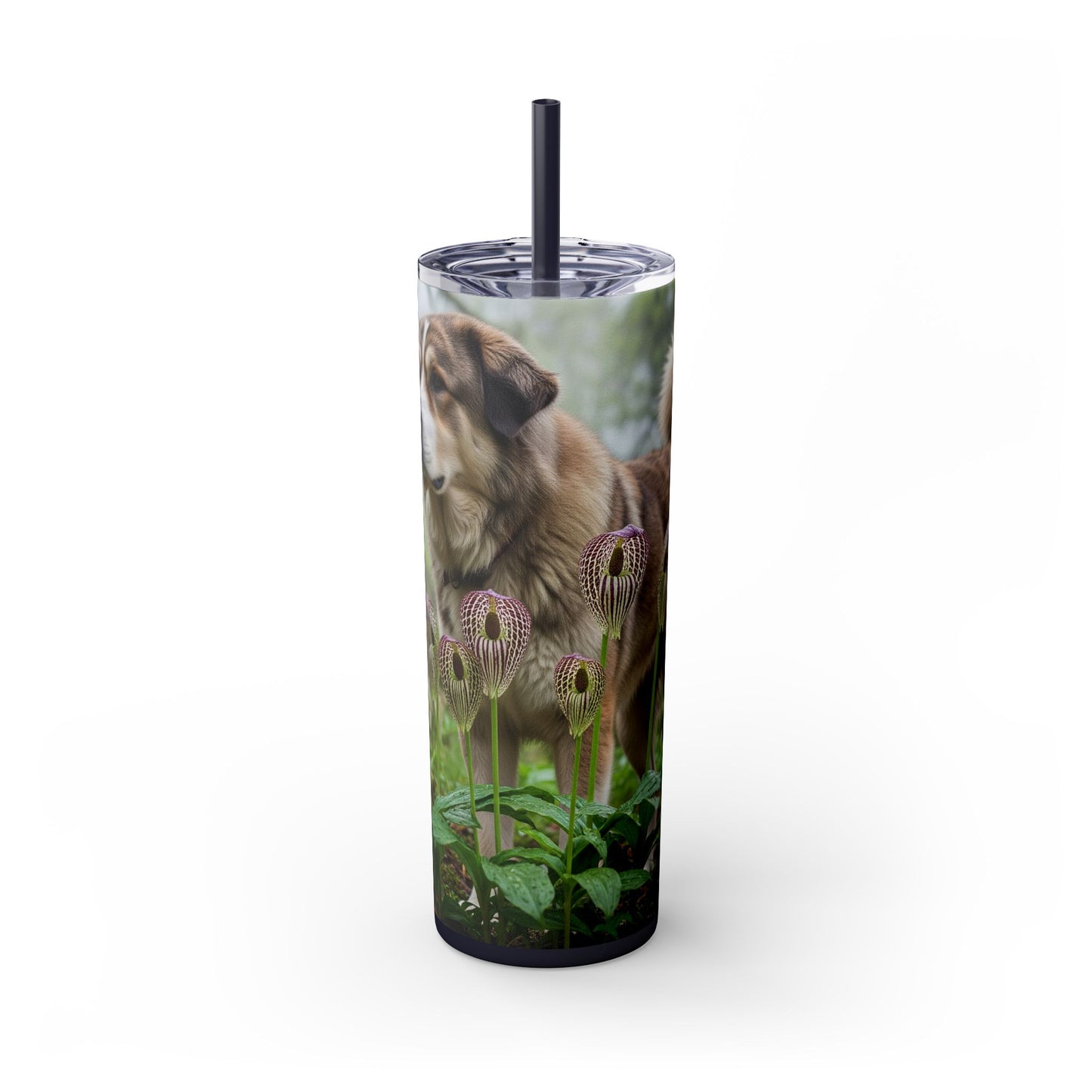 Bakharwal Tumbler with Straw, 20oz
