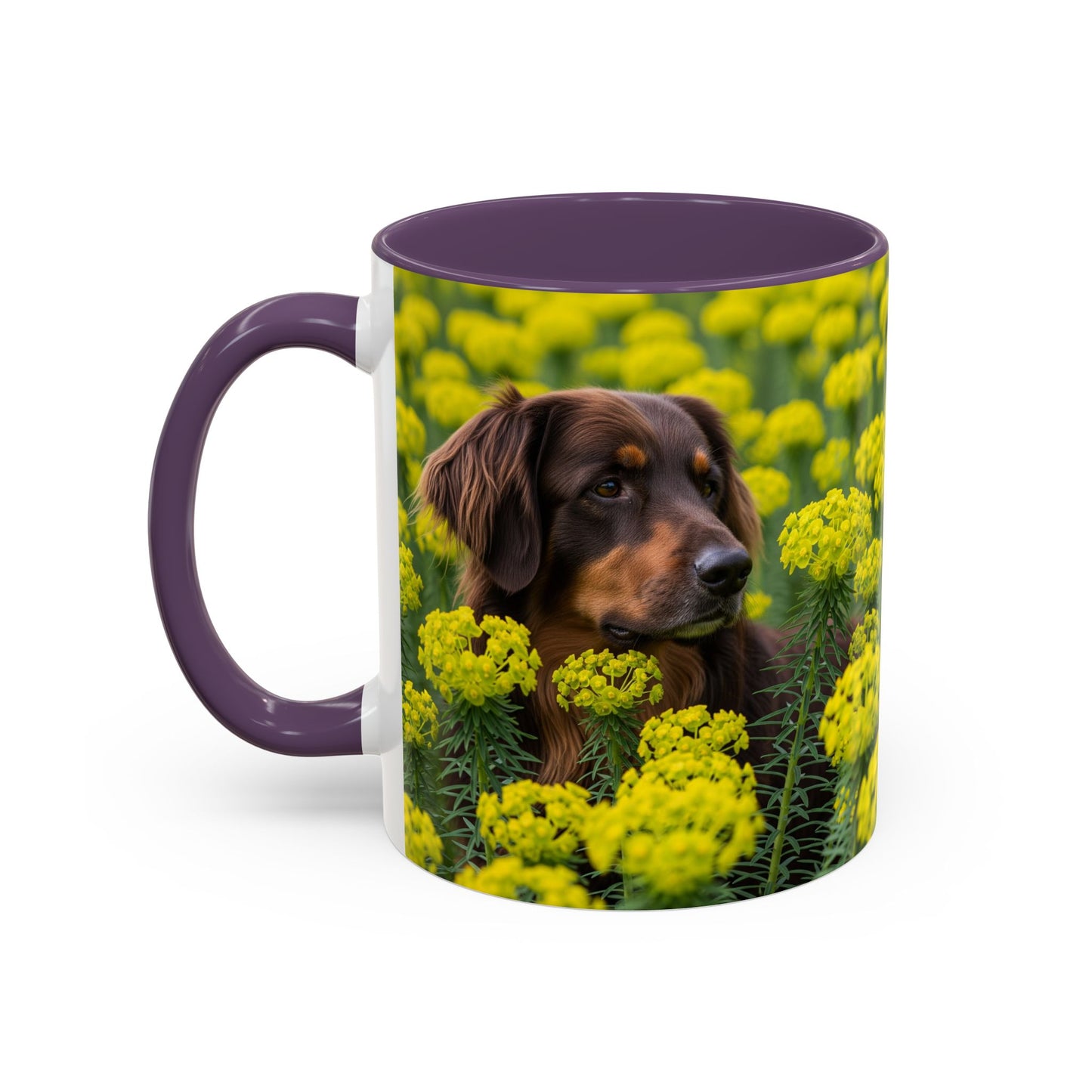 Hovawart Accent Coffee Mug - Perfect Gift for Dog Lovers