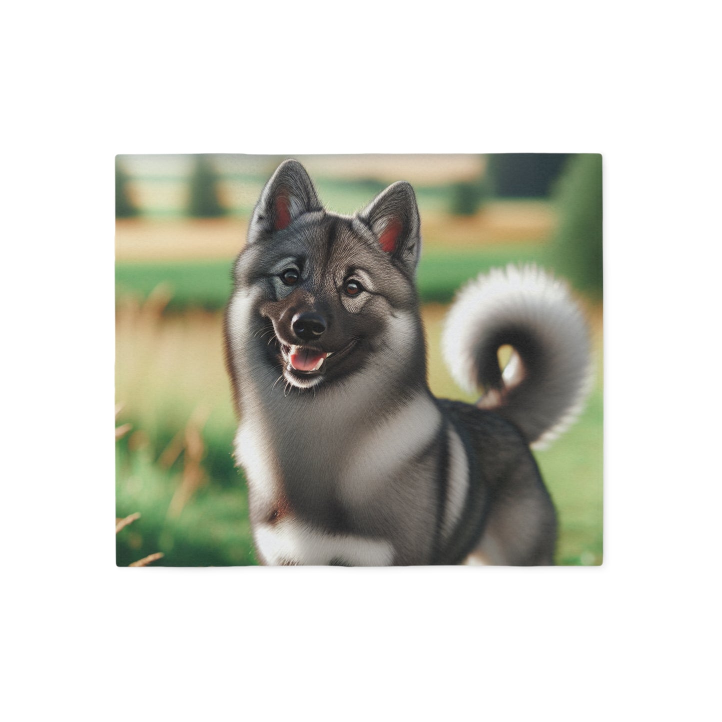 Norwegian Elkhound Sweatshirt Blanket