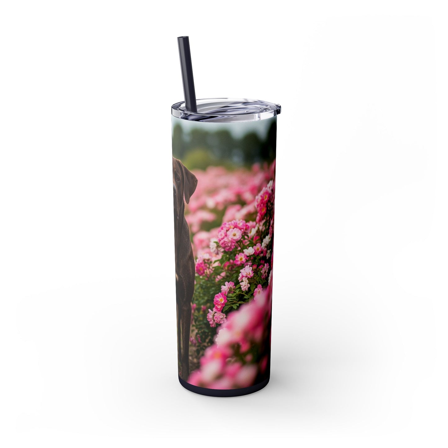Broholmer Tumbler with Straw, 20oz