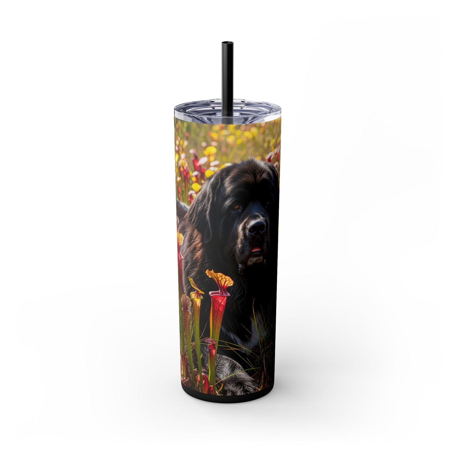 Newfoundland Skinny Tumbler with Straw, 20oz