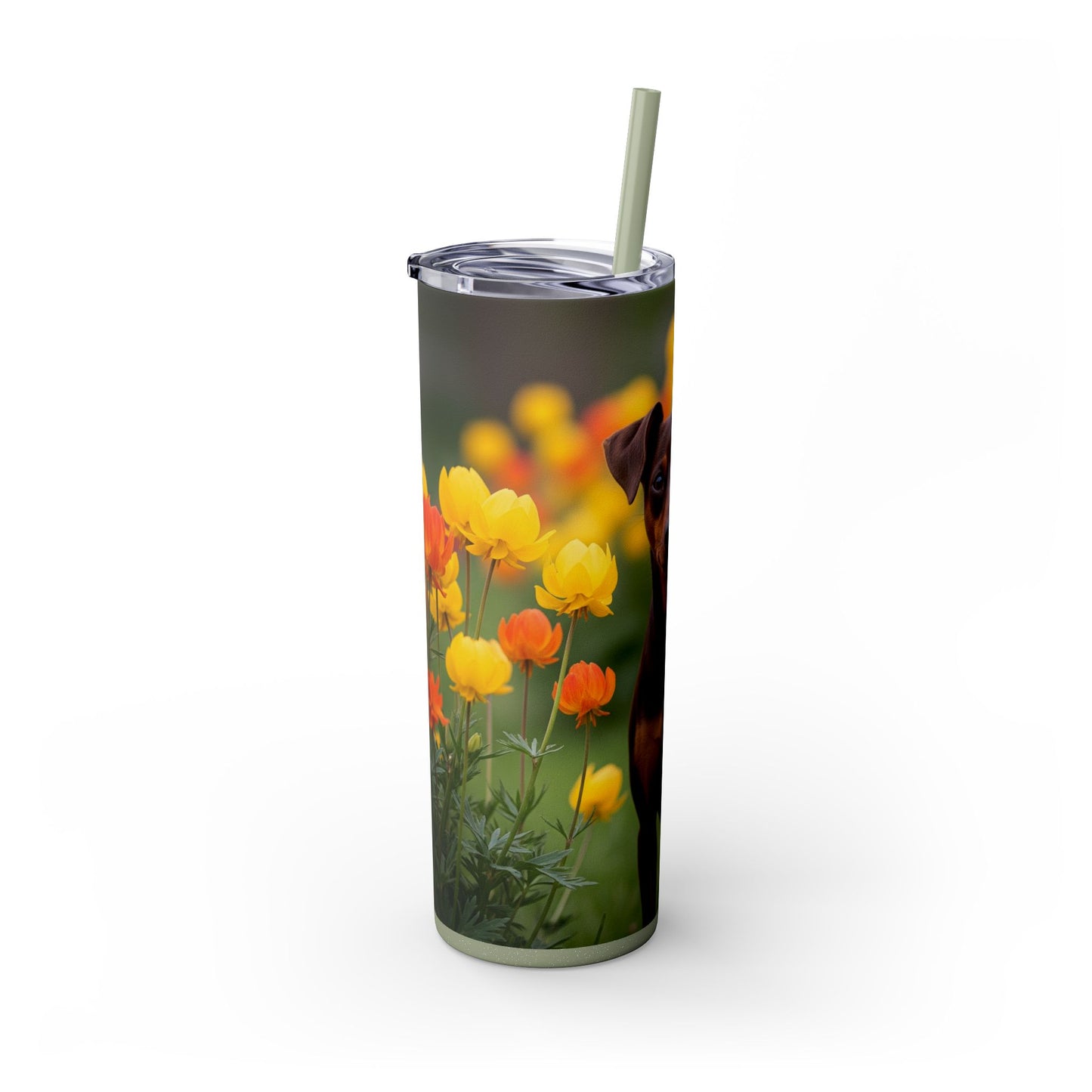 Miniature Pinscher Skinny Tumbler with Straw, 20oz