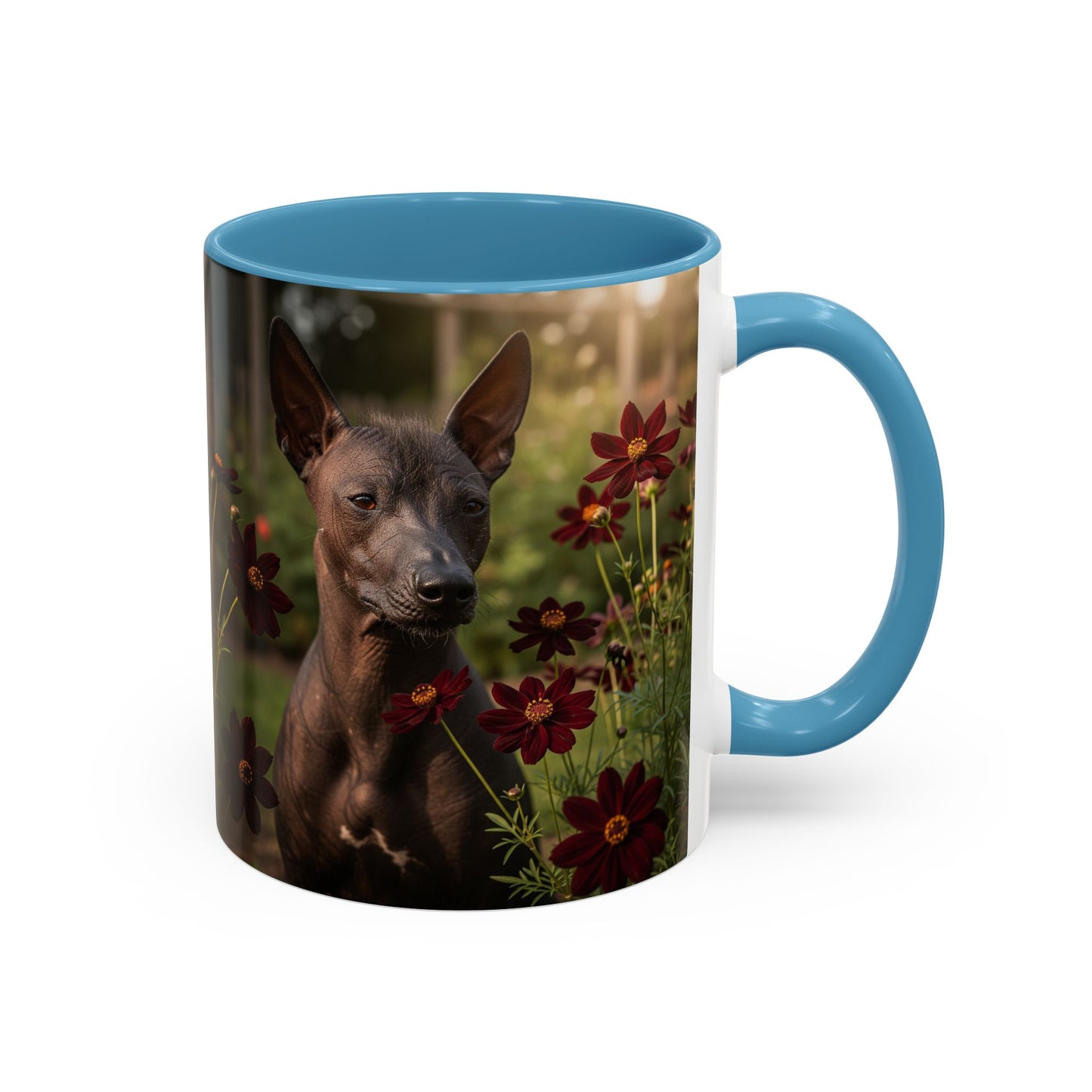 Xoloitzcuintli Accent Coffee Mug - Perfect Gift for Dog Lovers