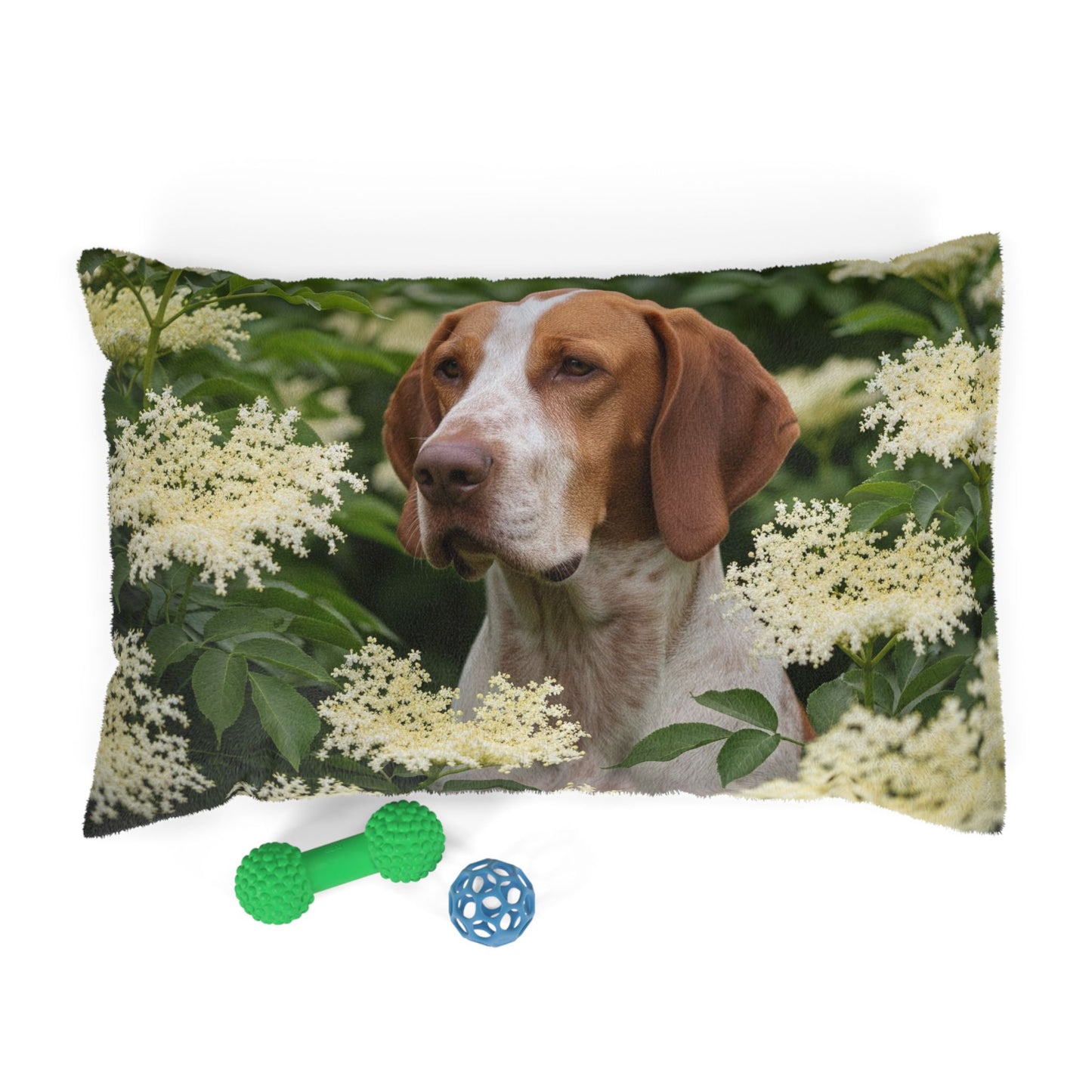 Braque St. Germain Pet Bed