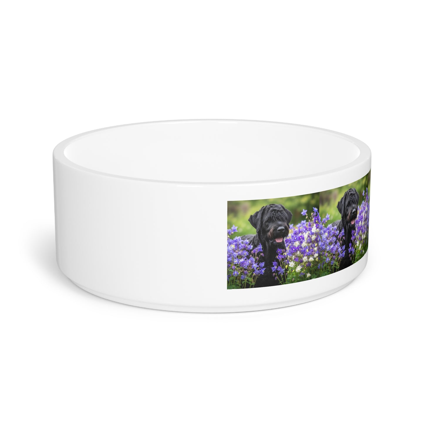 Black Russian Terrier Pet Bowl