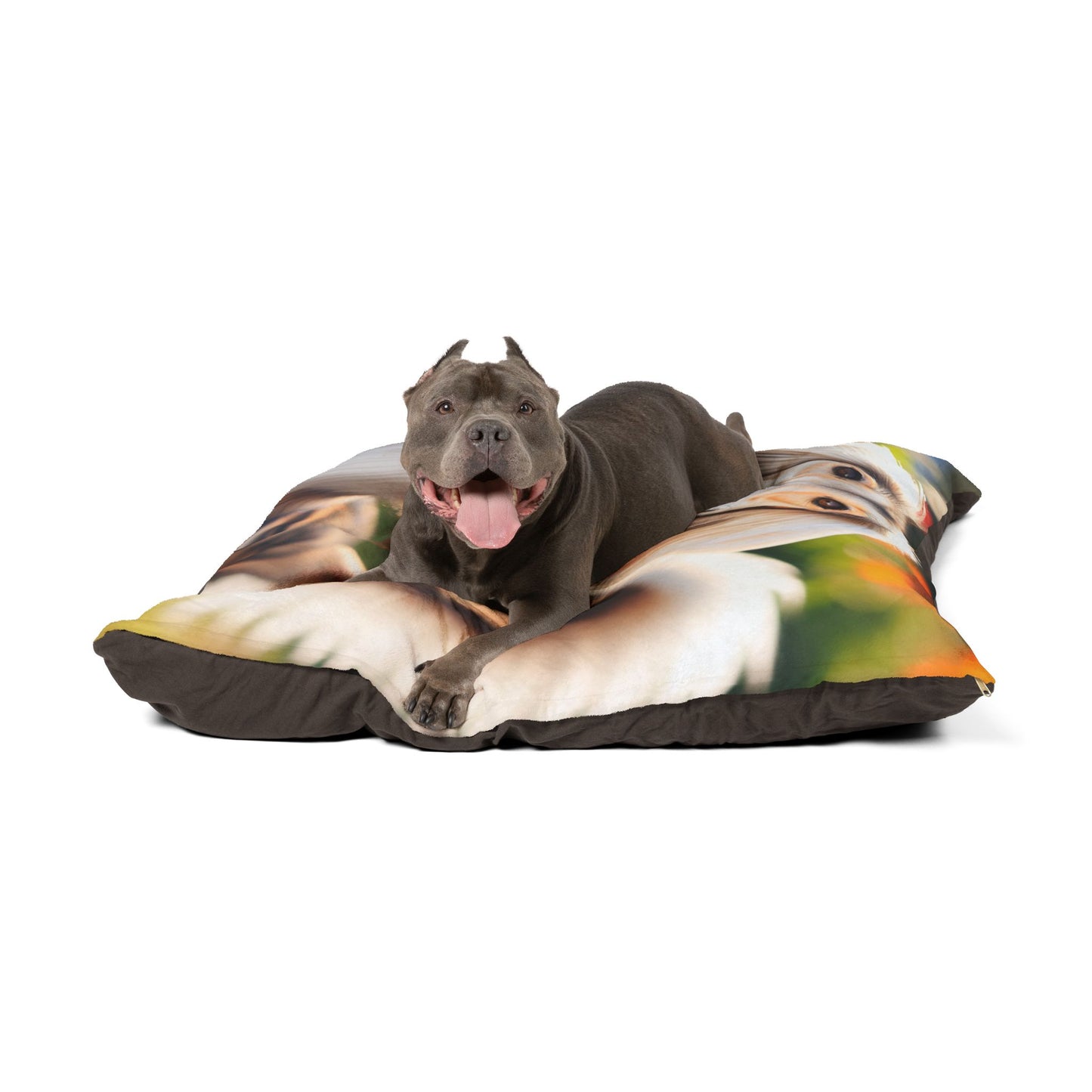Saluki Pet Bed