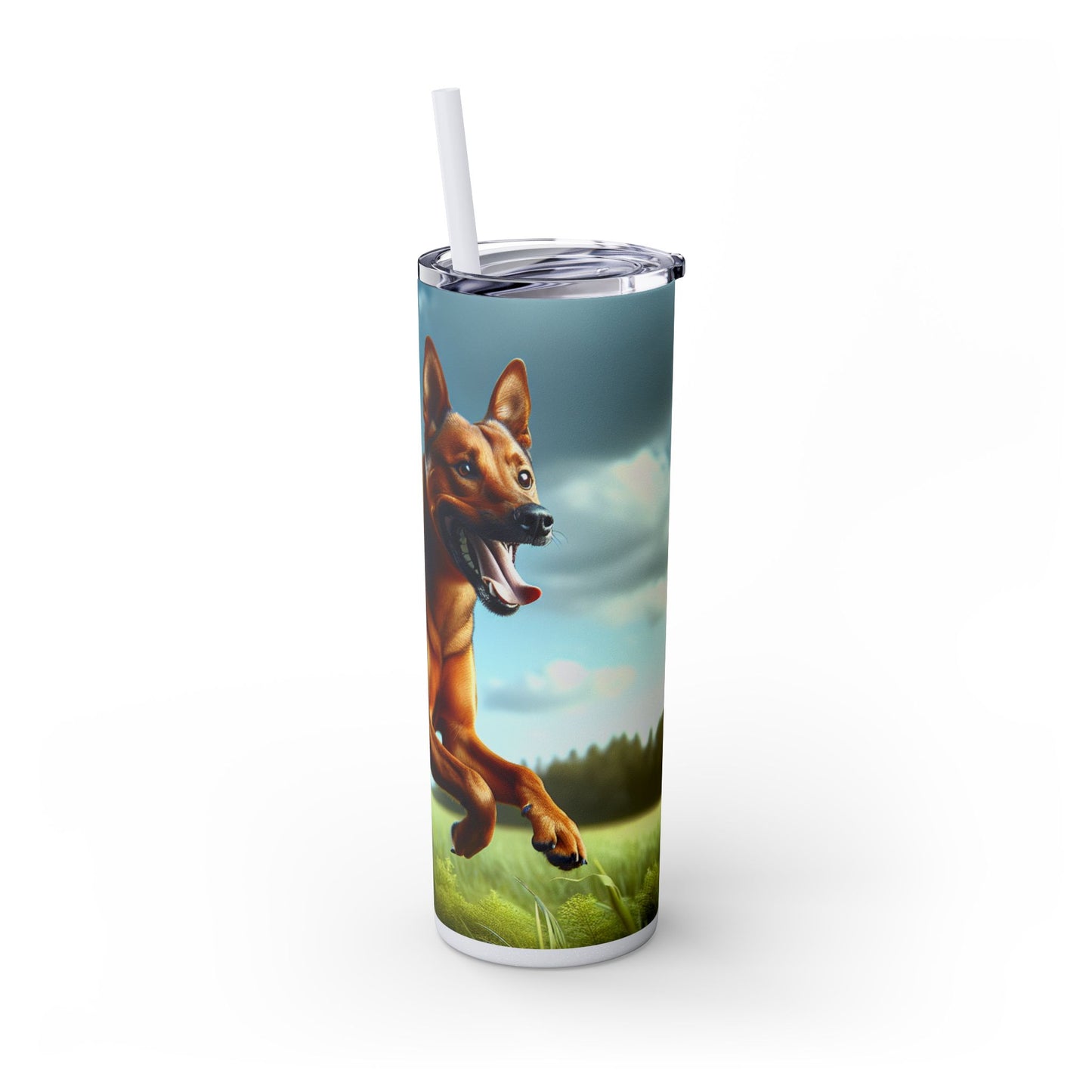 Kanni Tumbler with Straw, 20oz