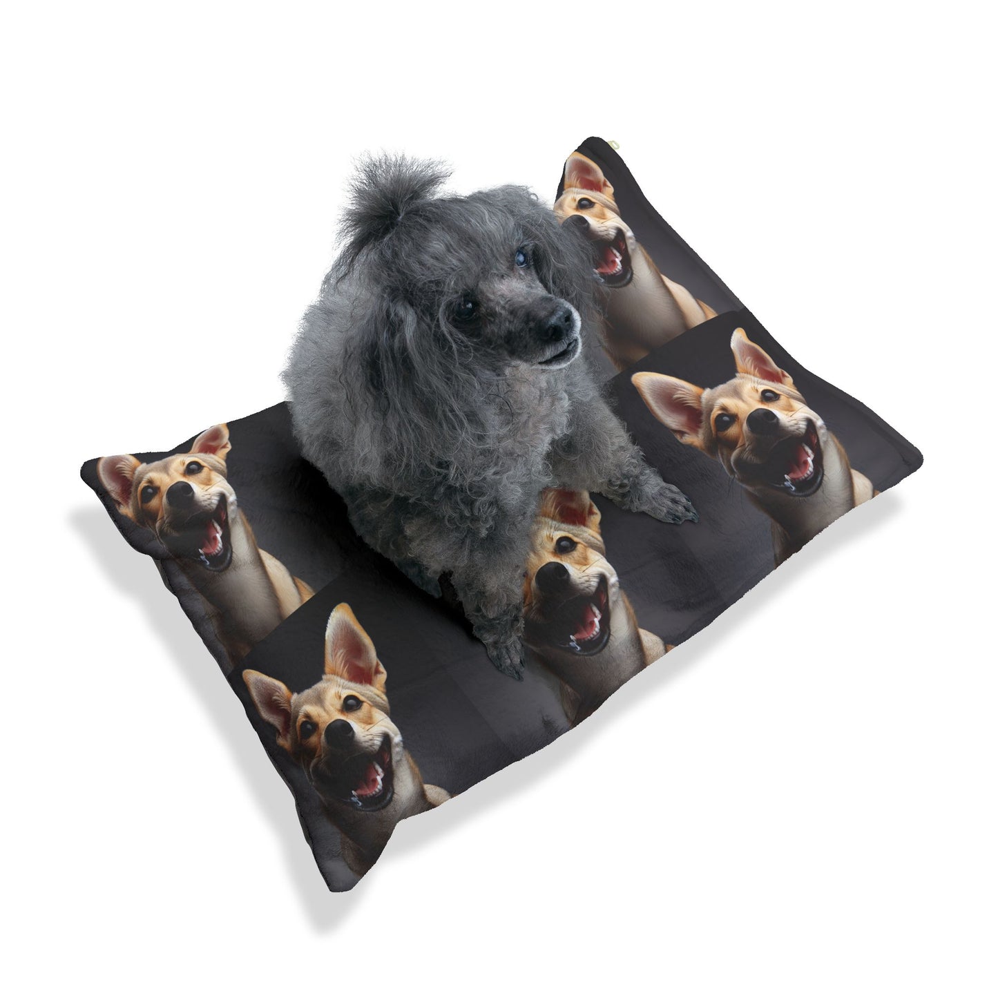Chippiparai Pet Bed