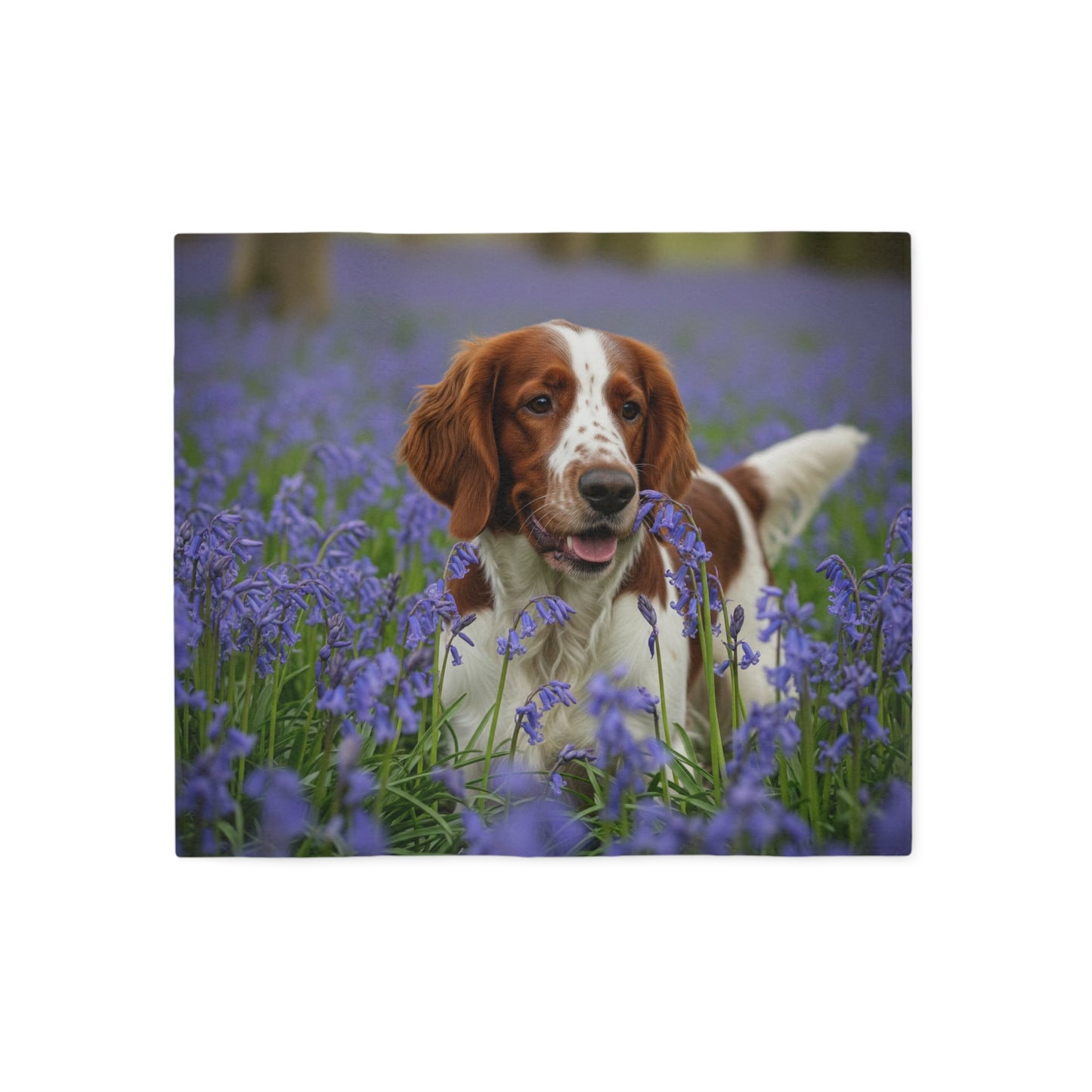 Welsh Springer Spaniel Sweatshirt Blanket