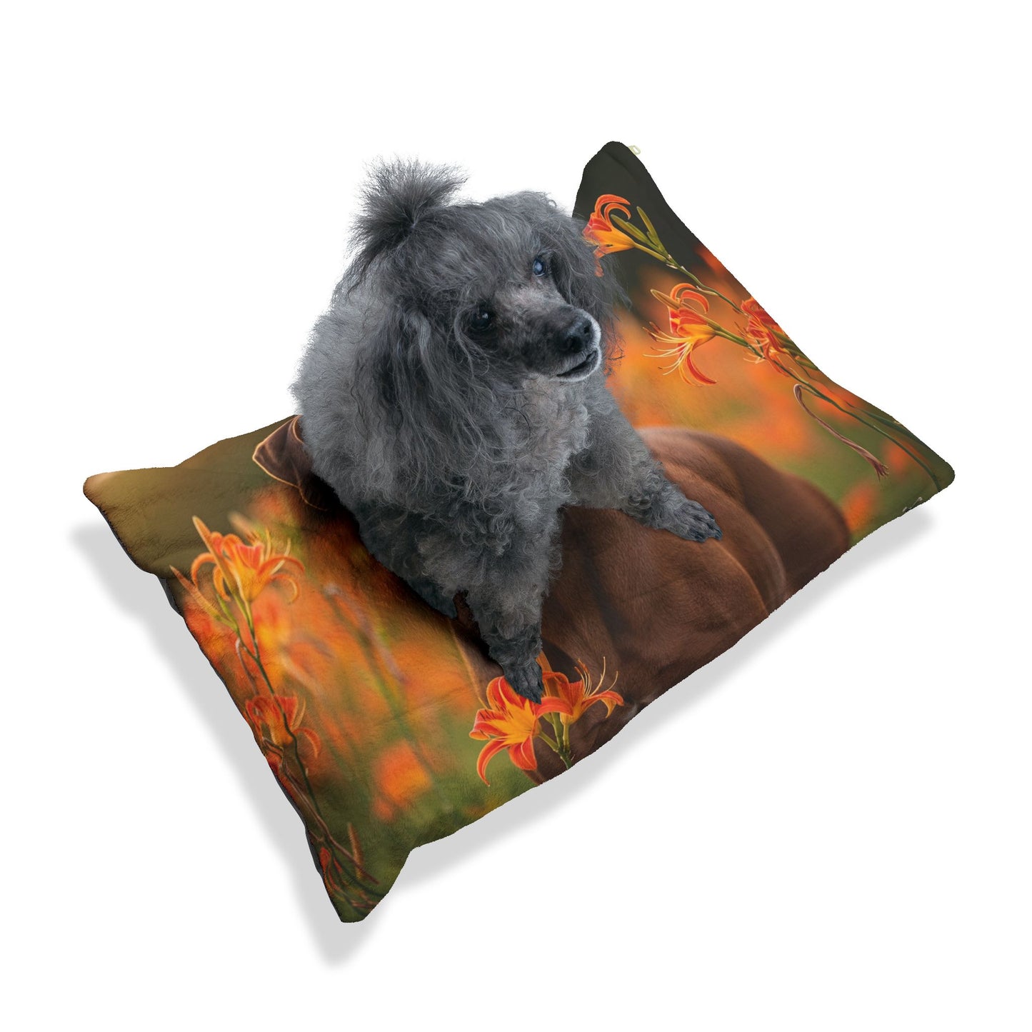 Rhodesian Ridgeback Pet Bed