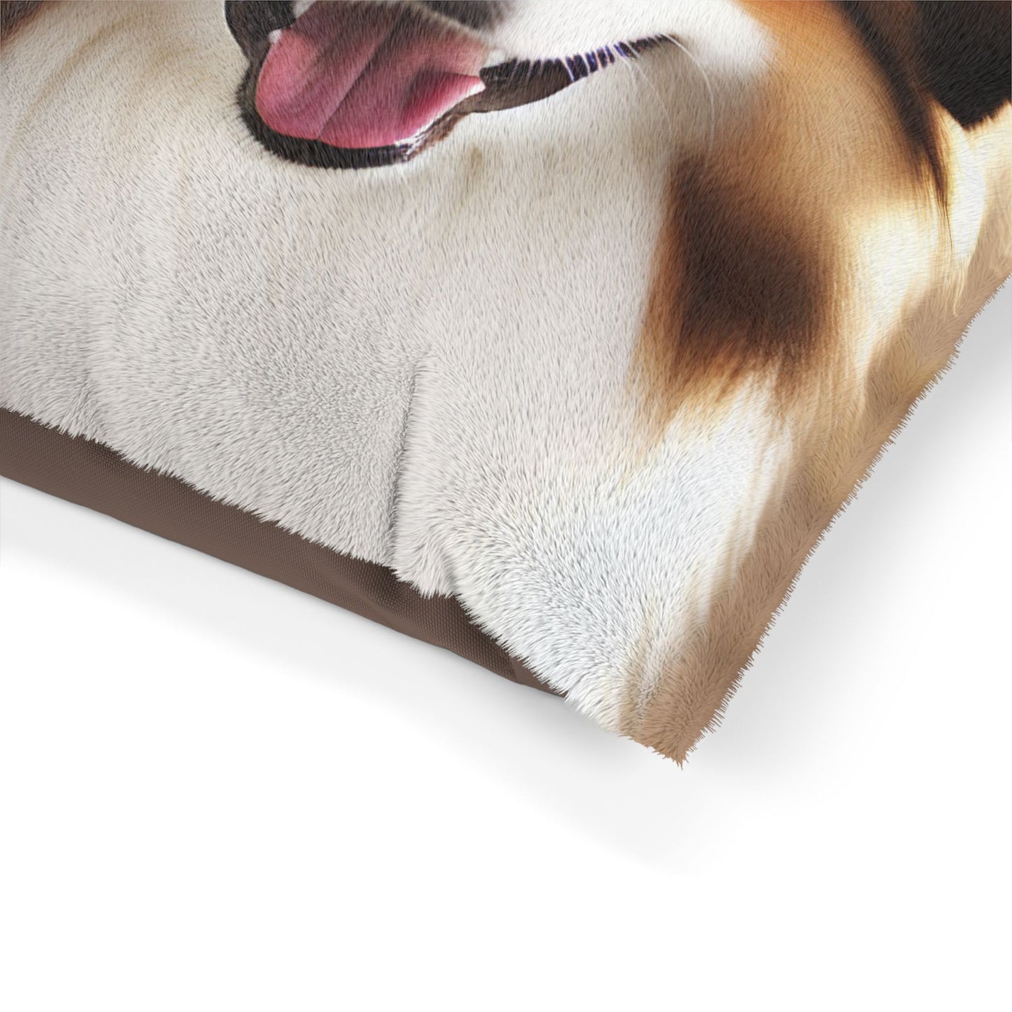 Drentsche Patrijshond Pet Bed