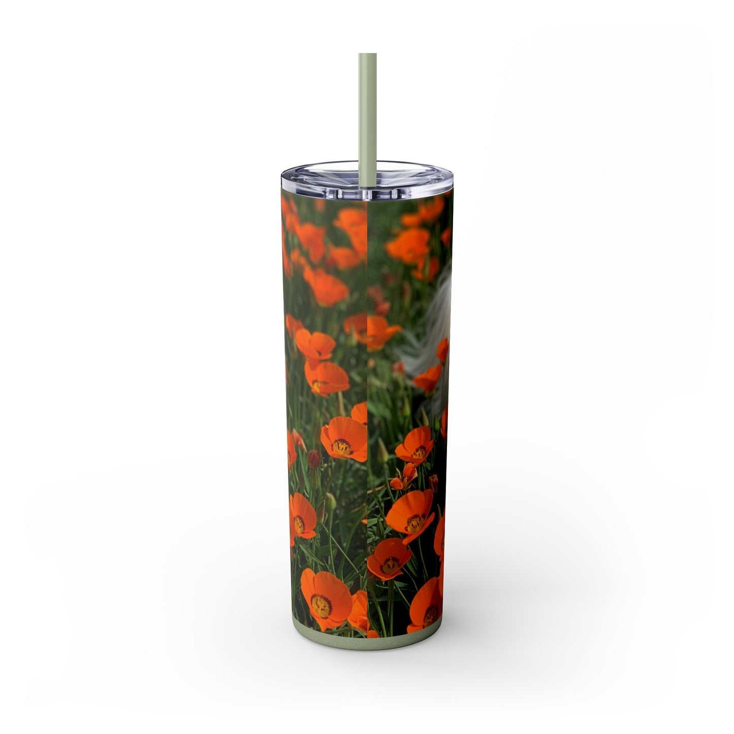 Havanese Tumbler with Straw, 20oz