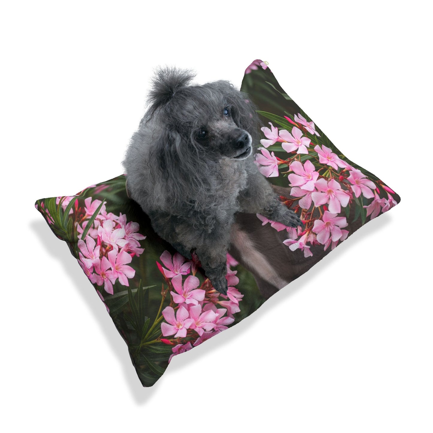 Greyhound Pet Bed
