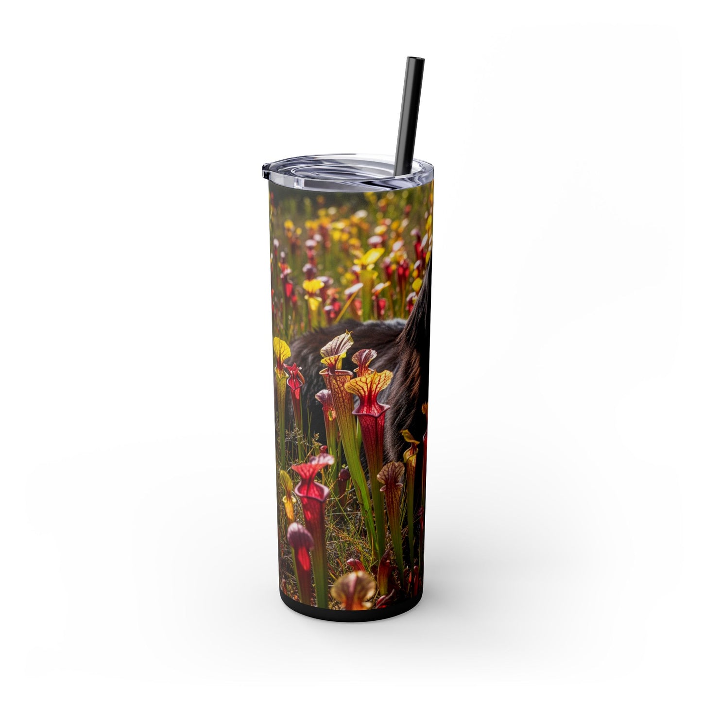 Newfoundland Skinny Tumbler with Straw, 20oz