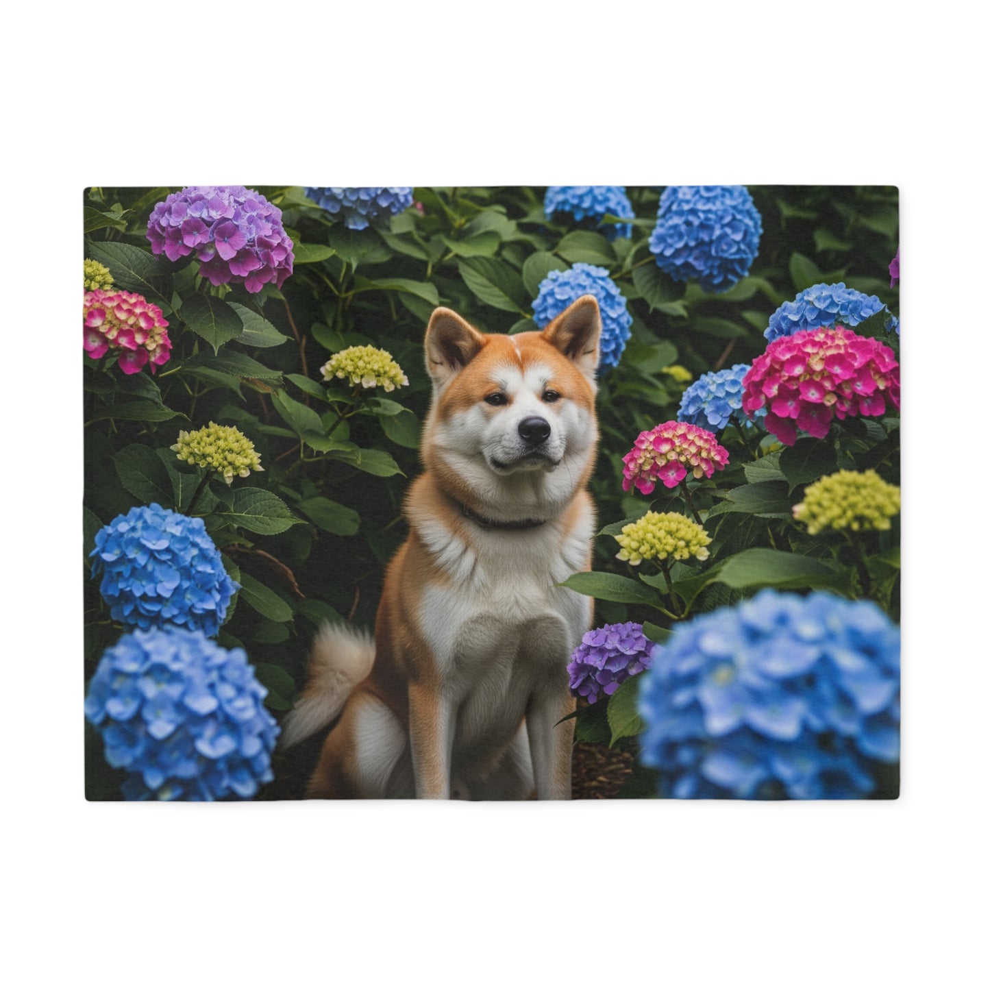 Akita Sweatshirt Blanket