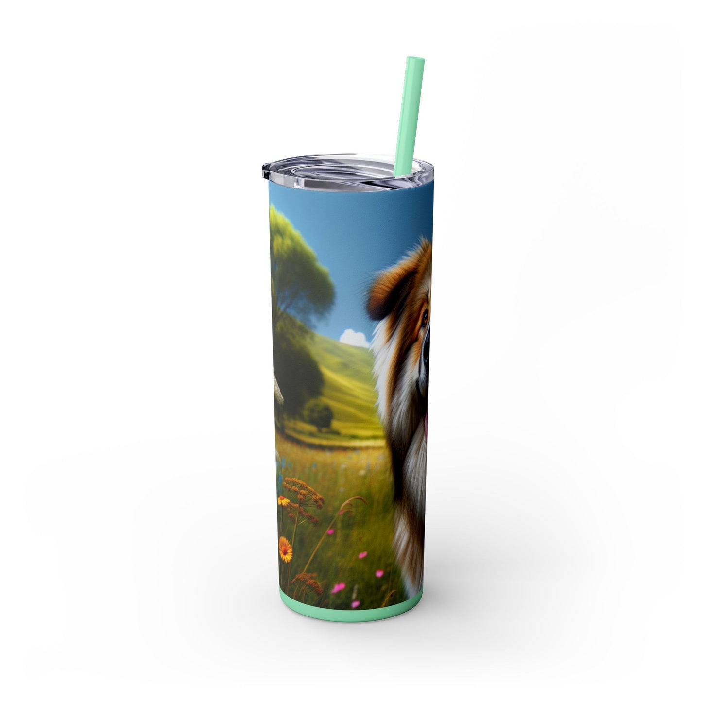 Bakharwal Tumbler with Straw, 20oz