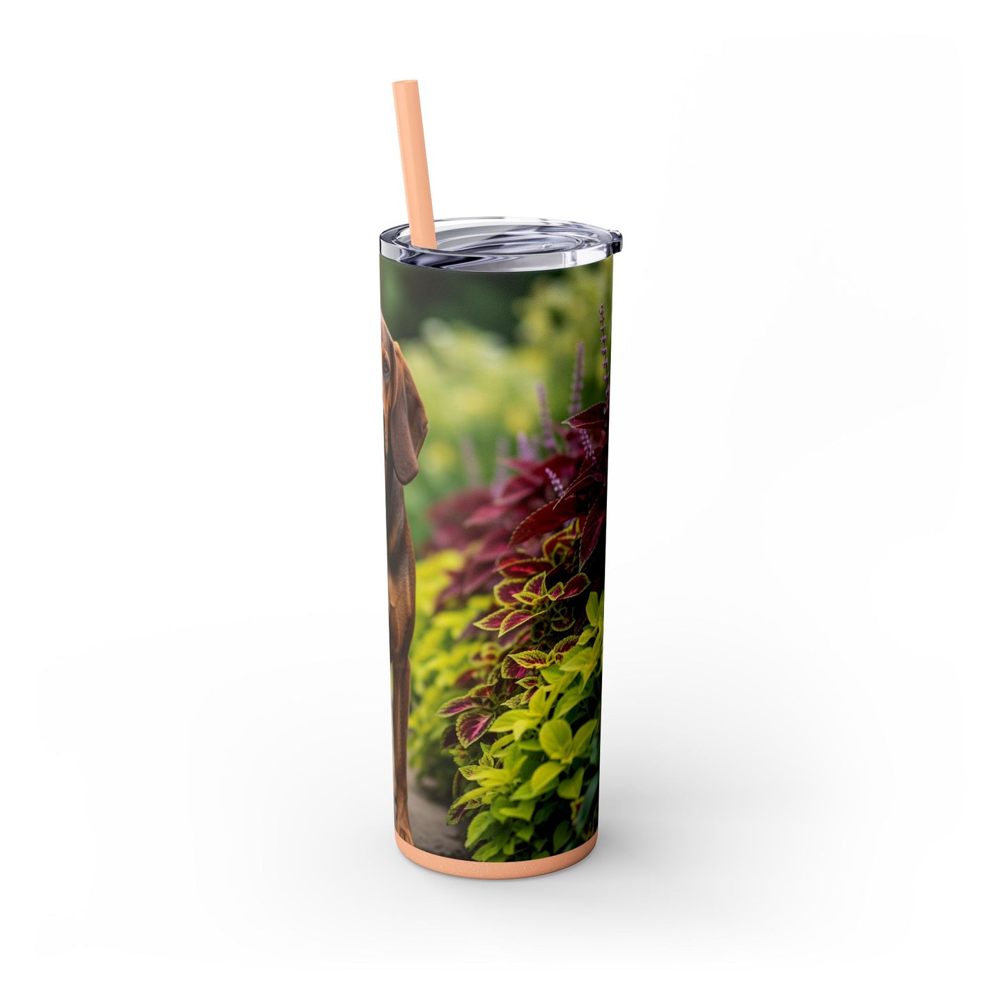 Hamiltonstovare Tumbler with Straw, 20oz