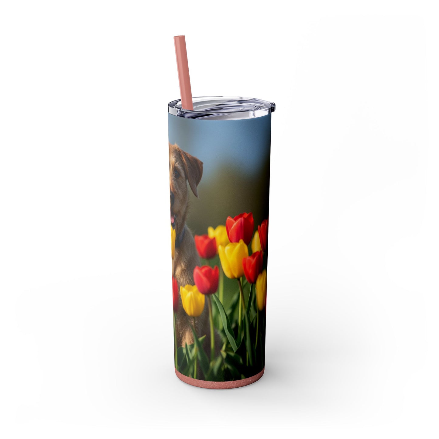 Pumi Skinny Tumbler with Straw, 20oz