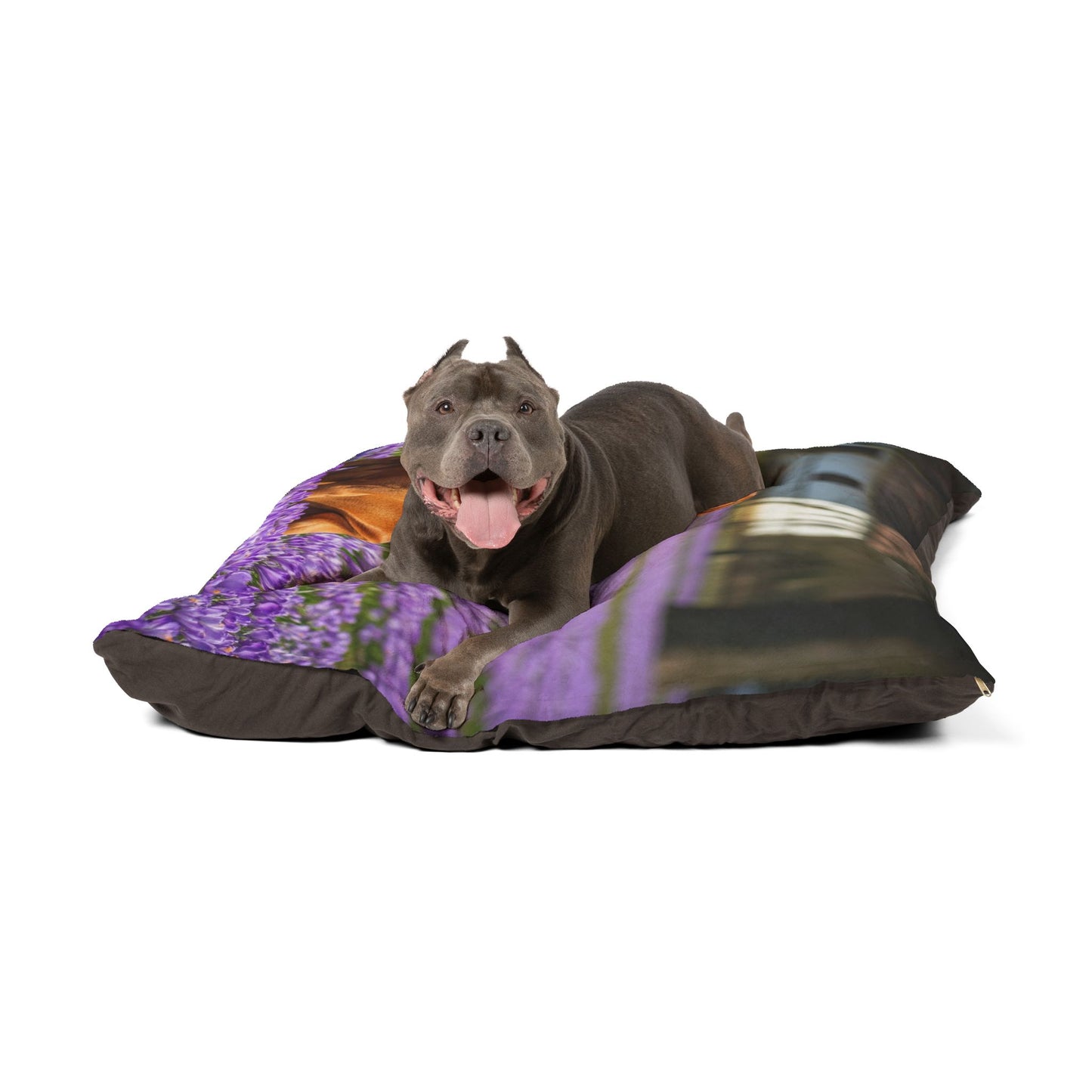 Vizsla Pet Bed