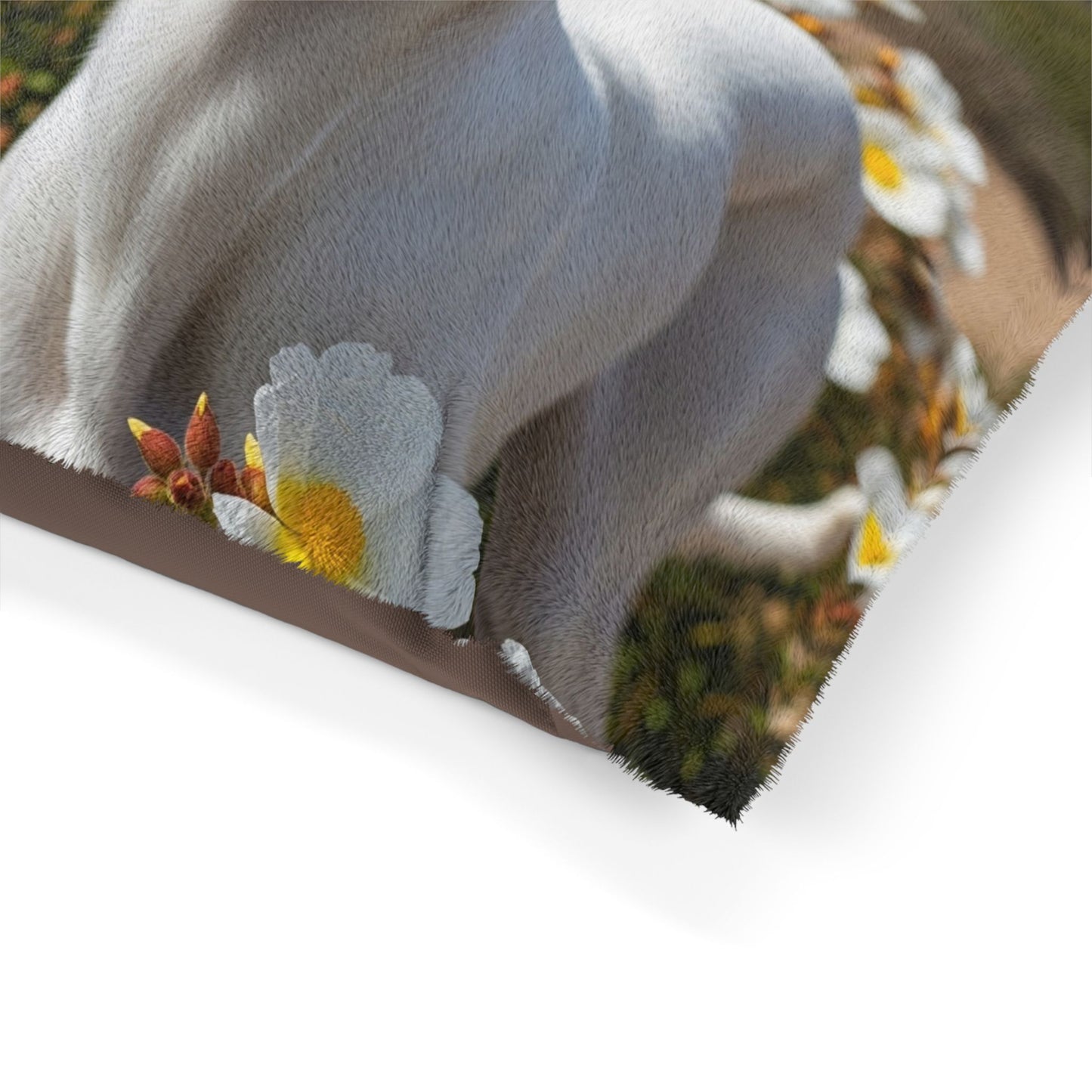 Ibizan Hound Pet Bed