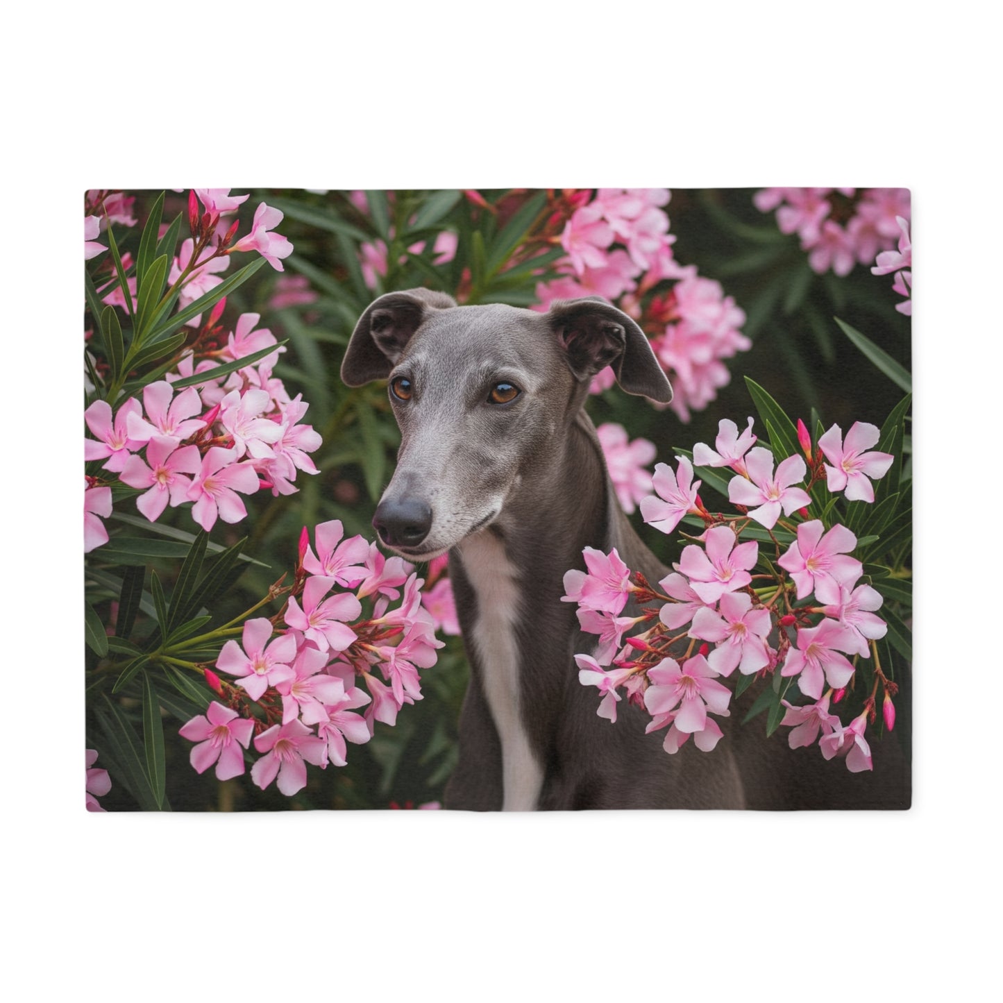 Greyhound Sweatshirt Blanket