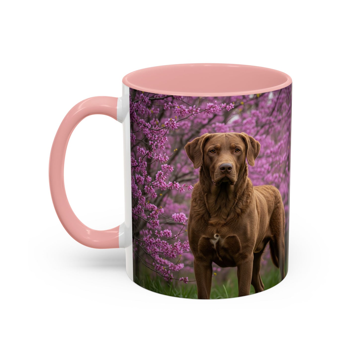 Chesapeake Bay Retriever Accent Coffee Mug - Perfect Gift for Dog Lovers