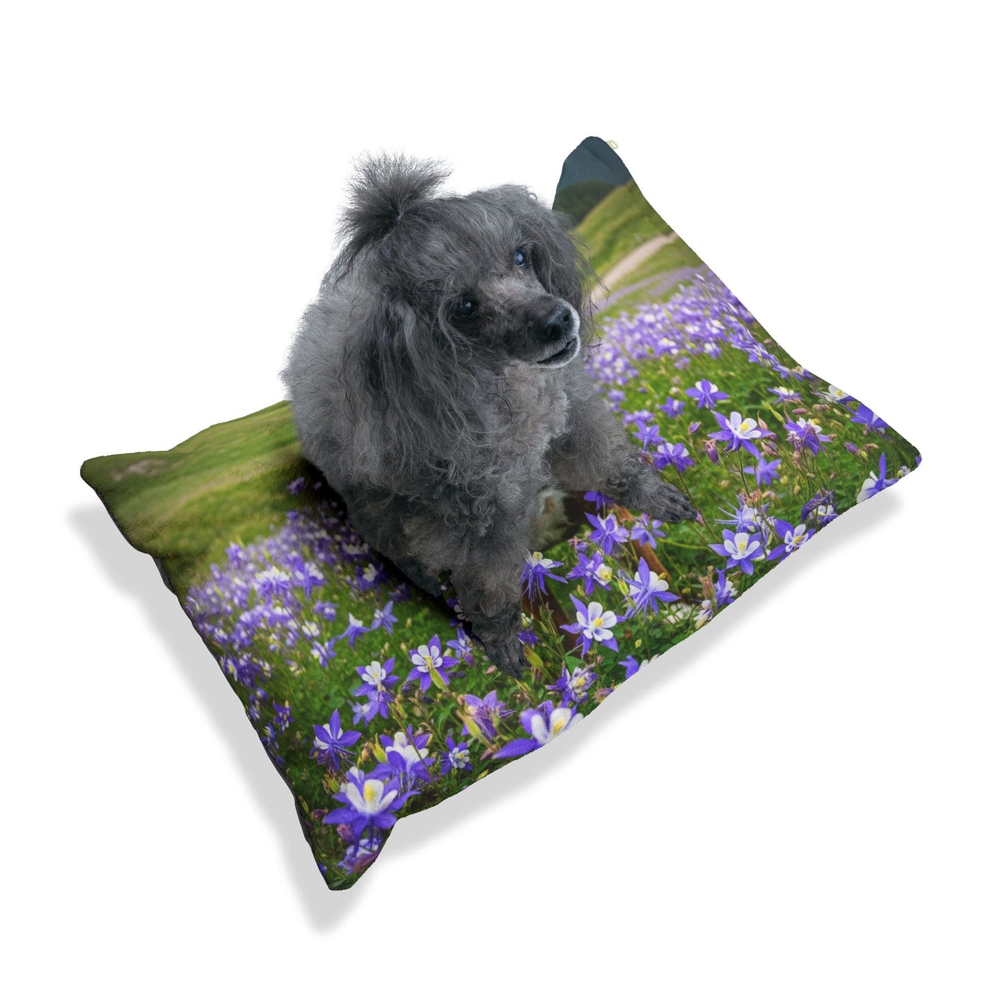 Boxer Pet Bed
