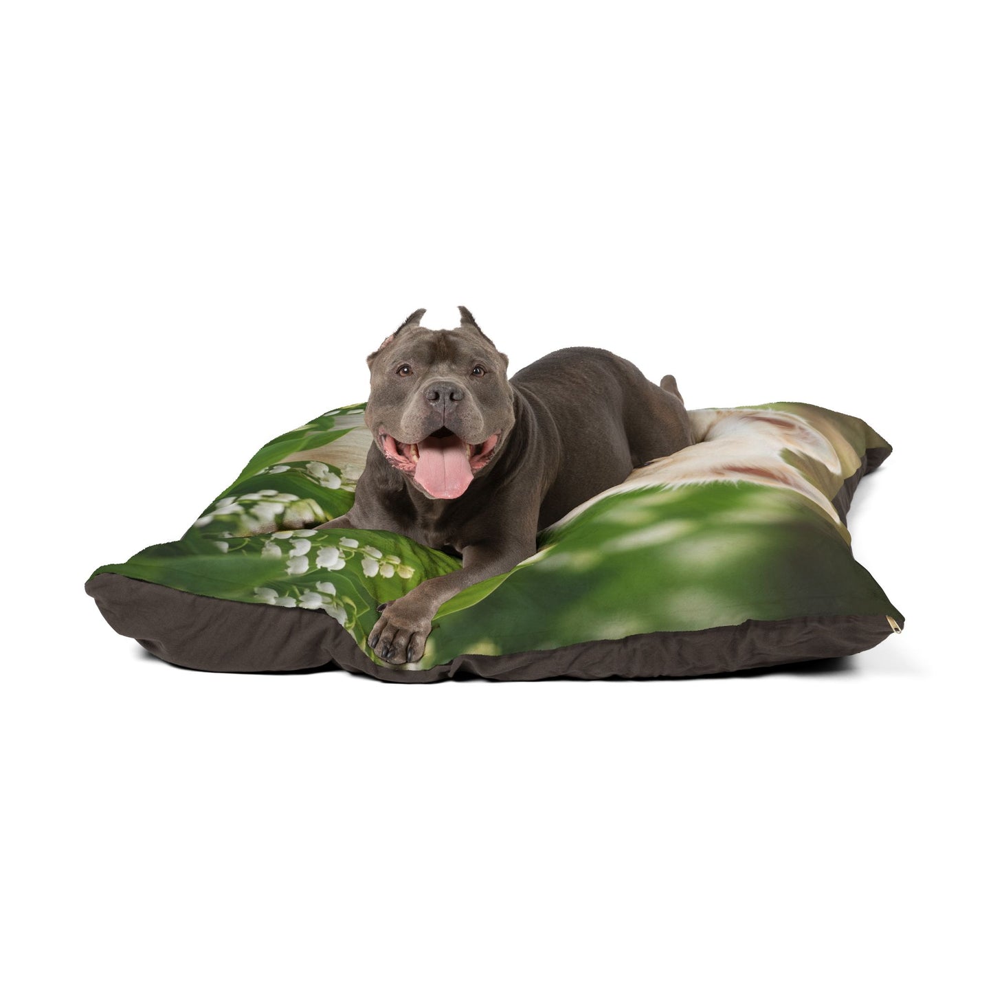 Finnish Lapphund Pet Bed