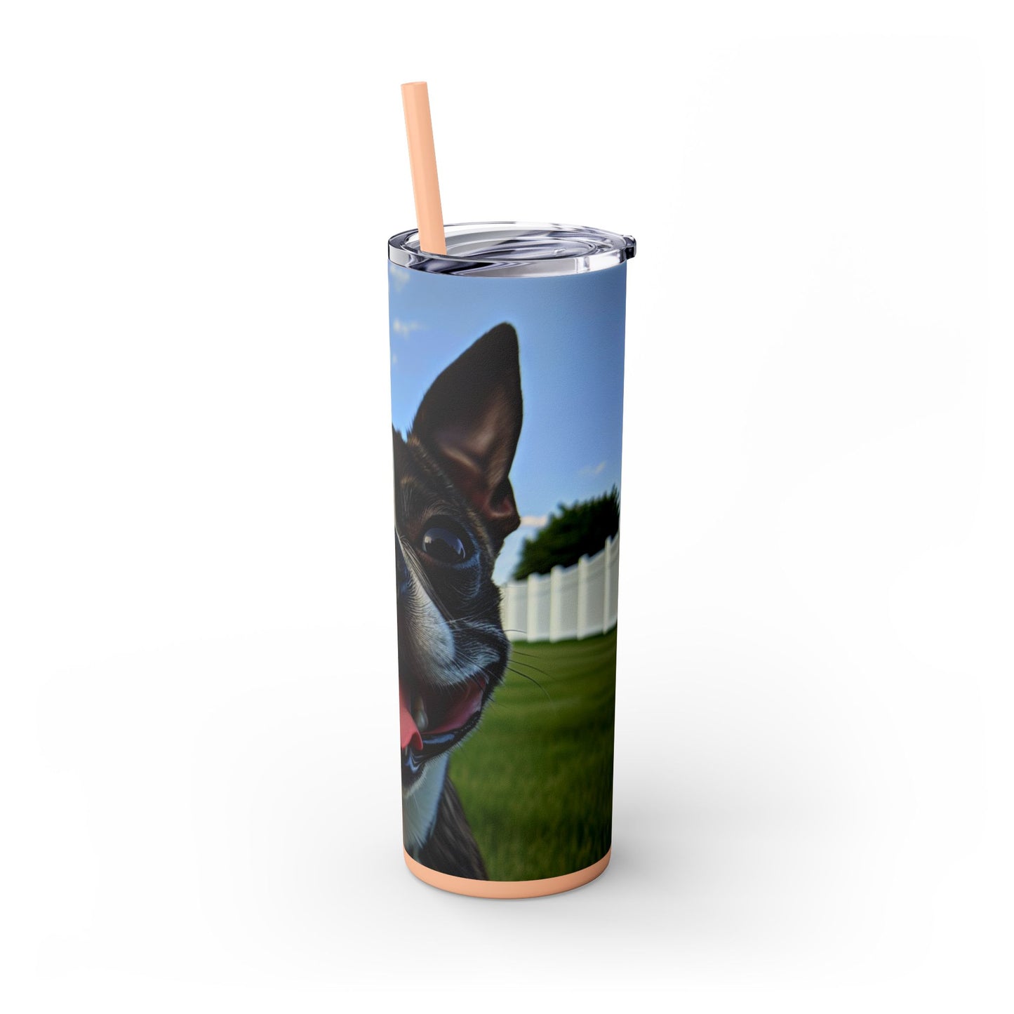 Boston Terrier Tumbler with Straw, 20oz