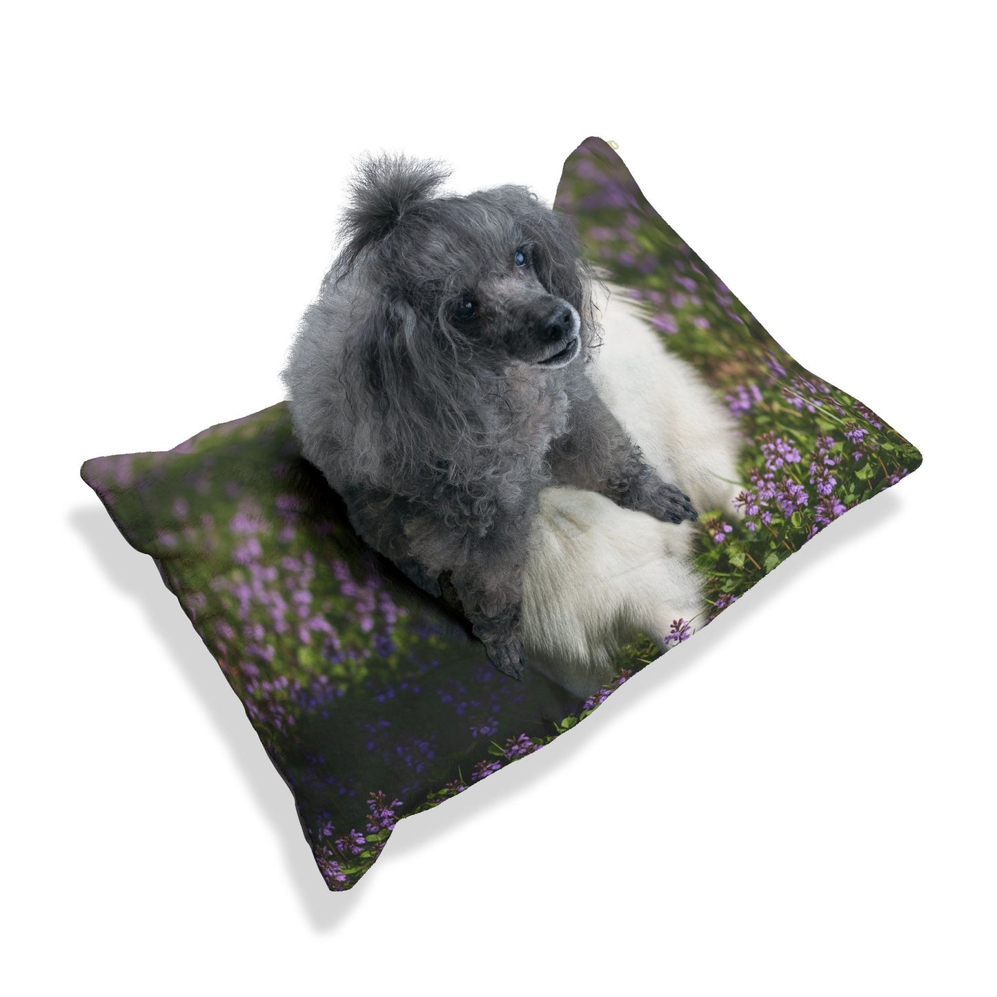 German Spitz Pet Bed
